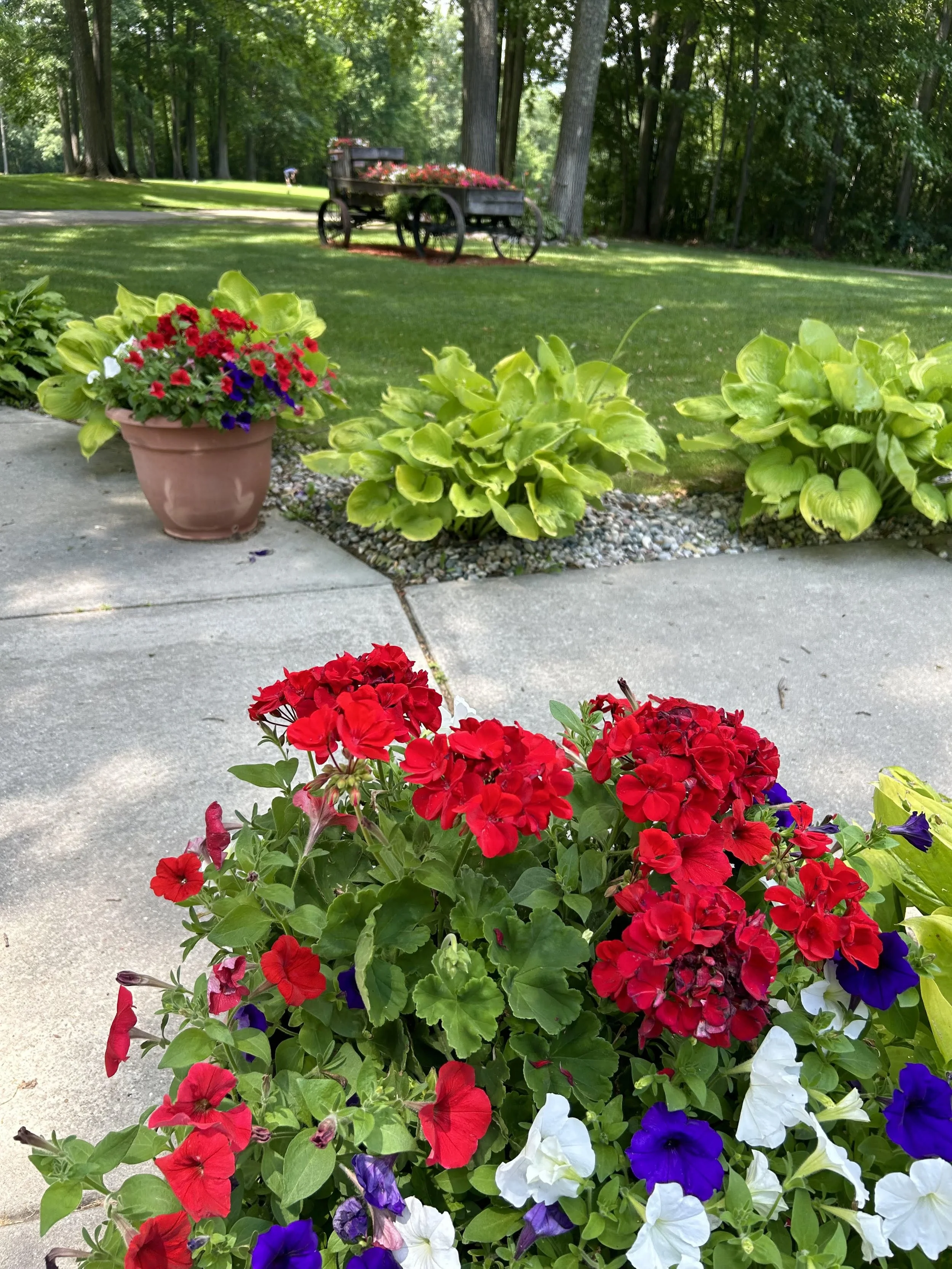 Snow Snake flower displays.jpg