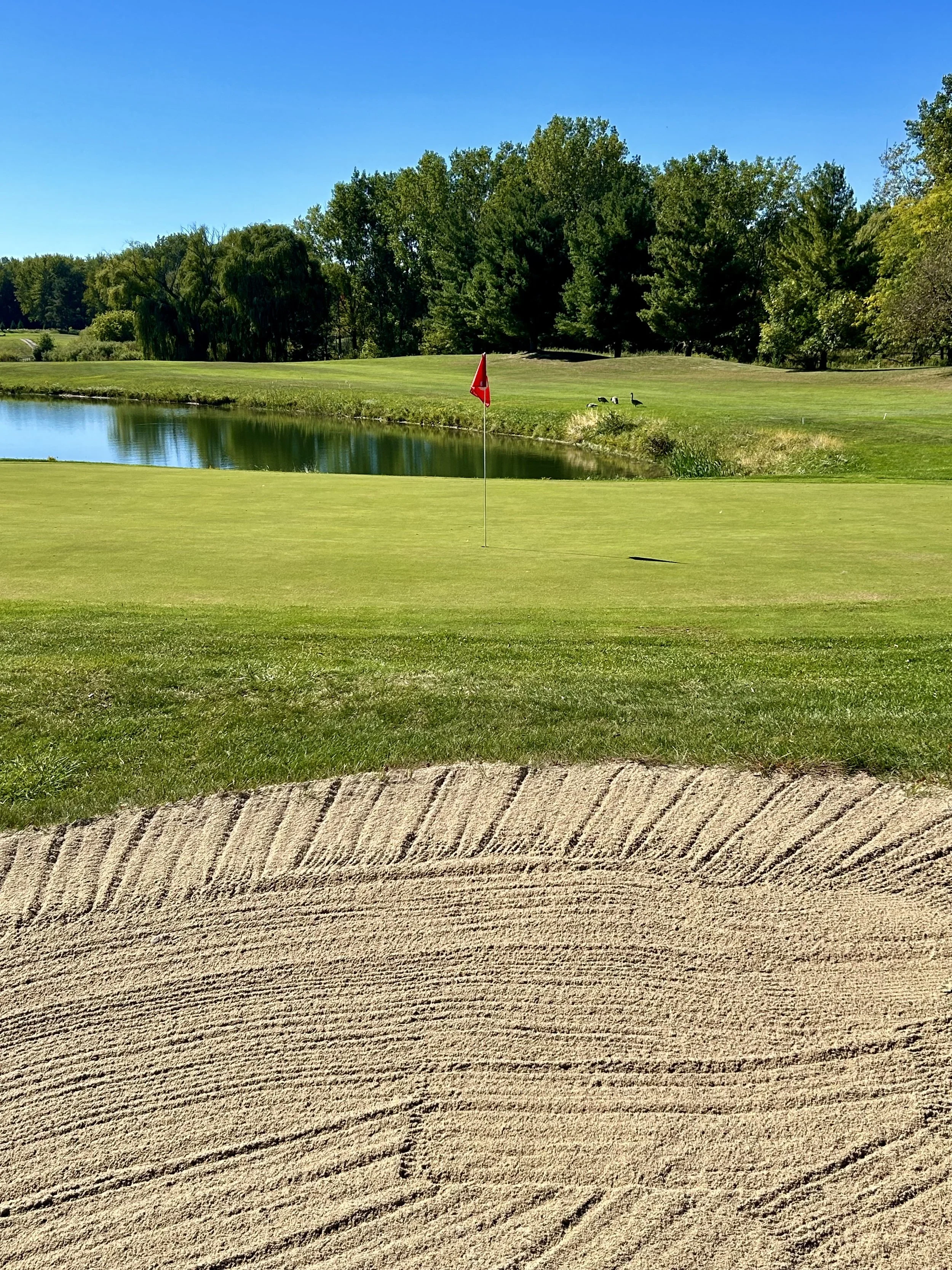 Bay Valley 6 green rear.jpg