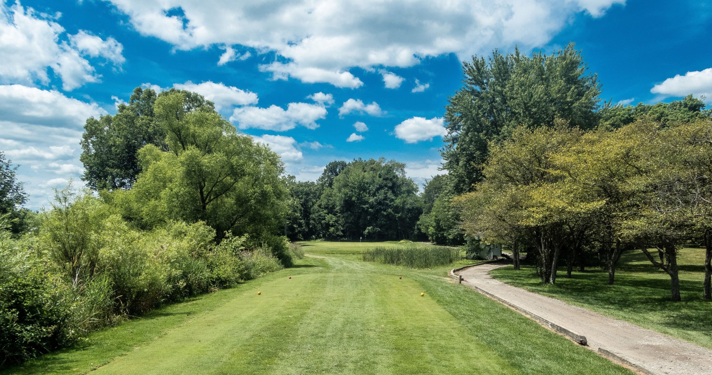 Freeways and Fairways Wheatfield Valley Golf Course — MI Golf Journal