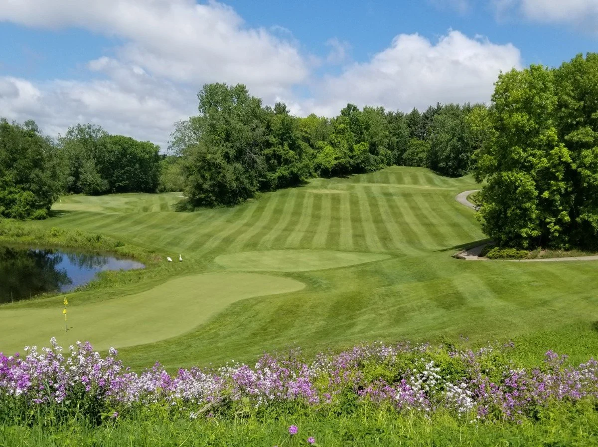 Moose ridge 16 green.jpeg