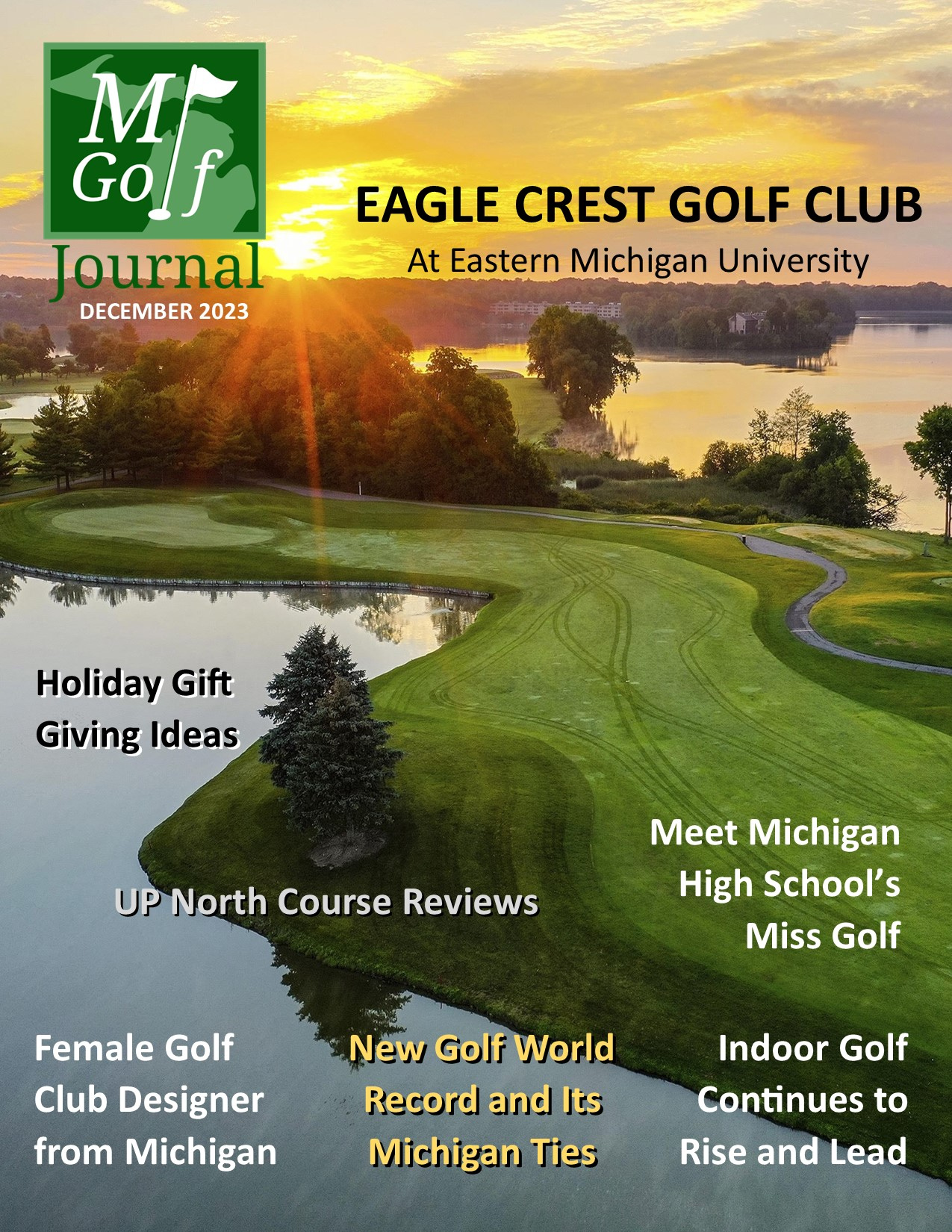 web cover (1).png