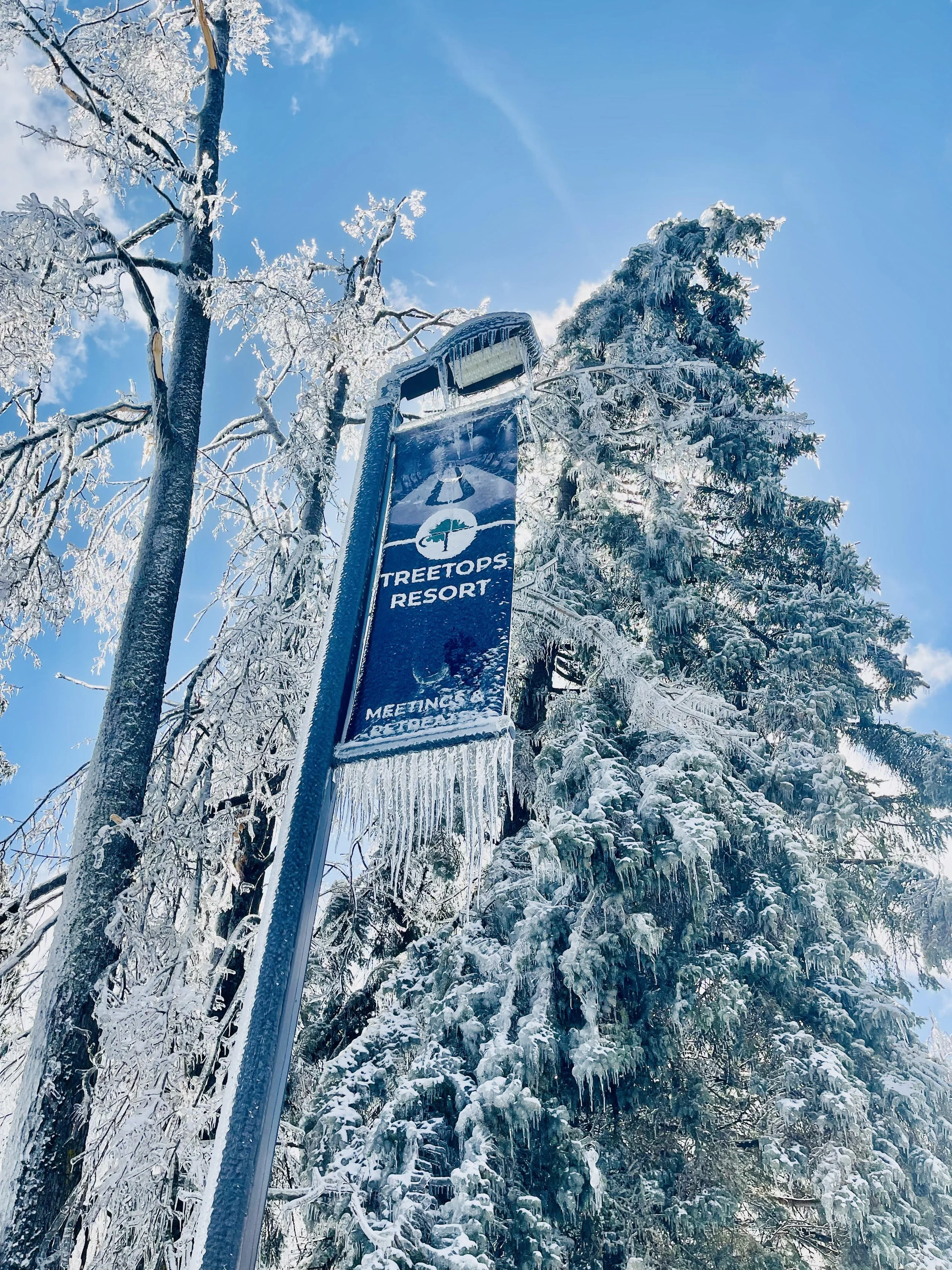 Treetops ice 2025 light pole sign.jpg