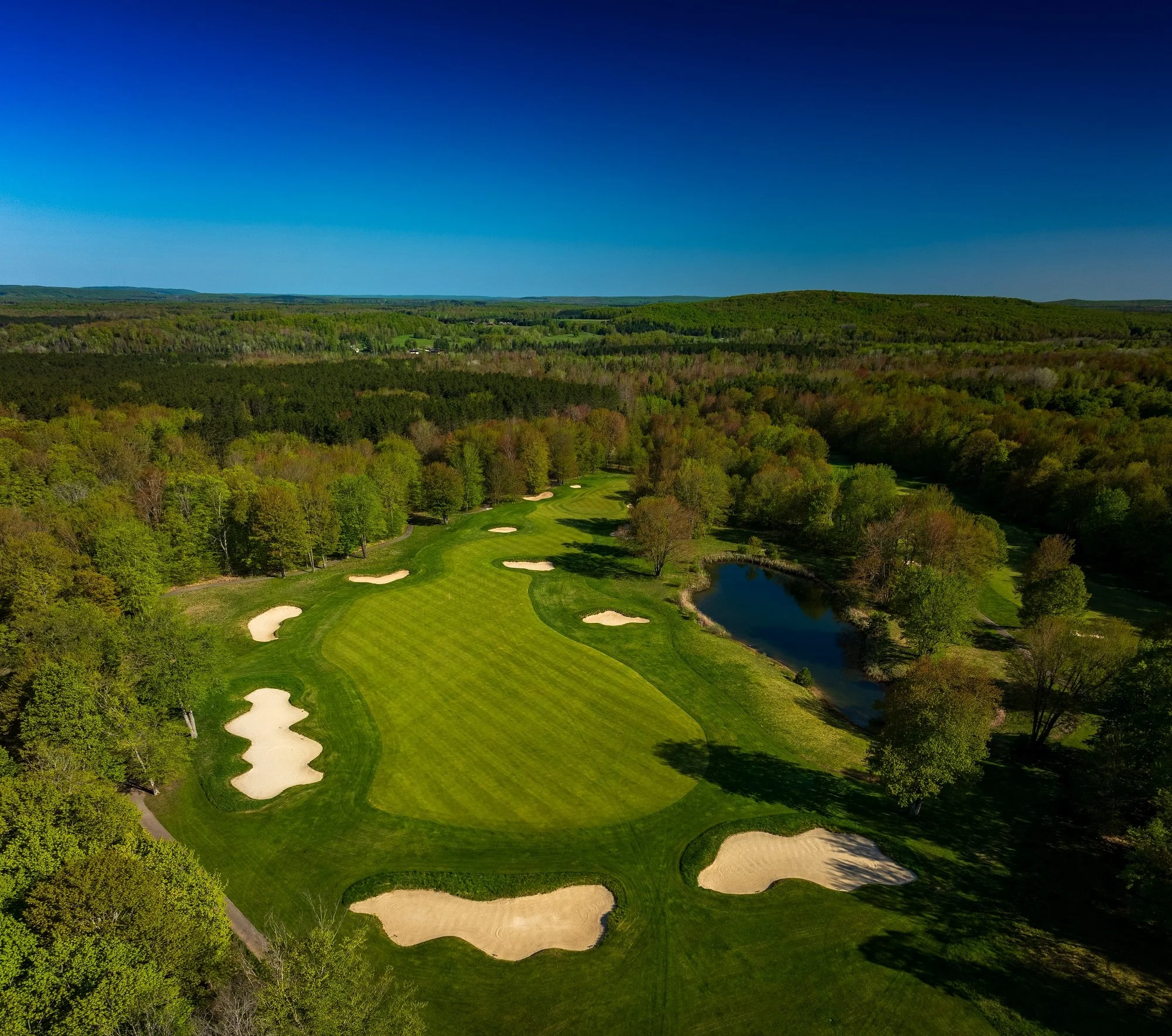 Treetops-signature-hole-3-feb 25.jpg