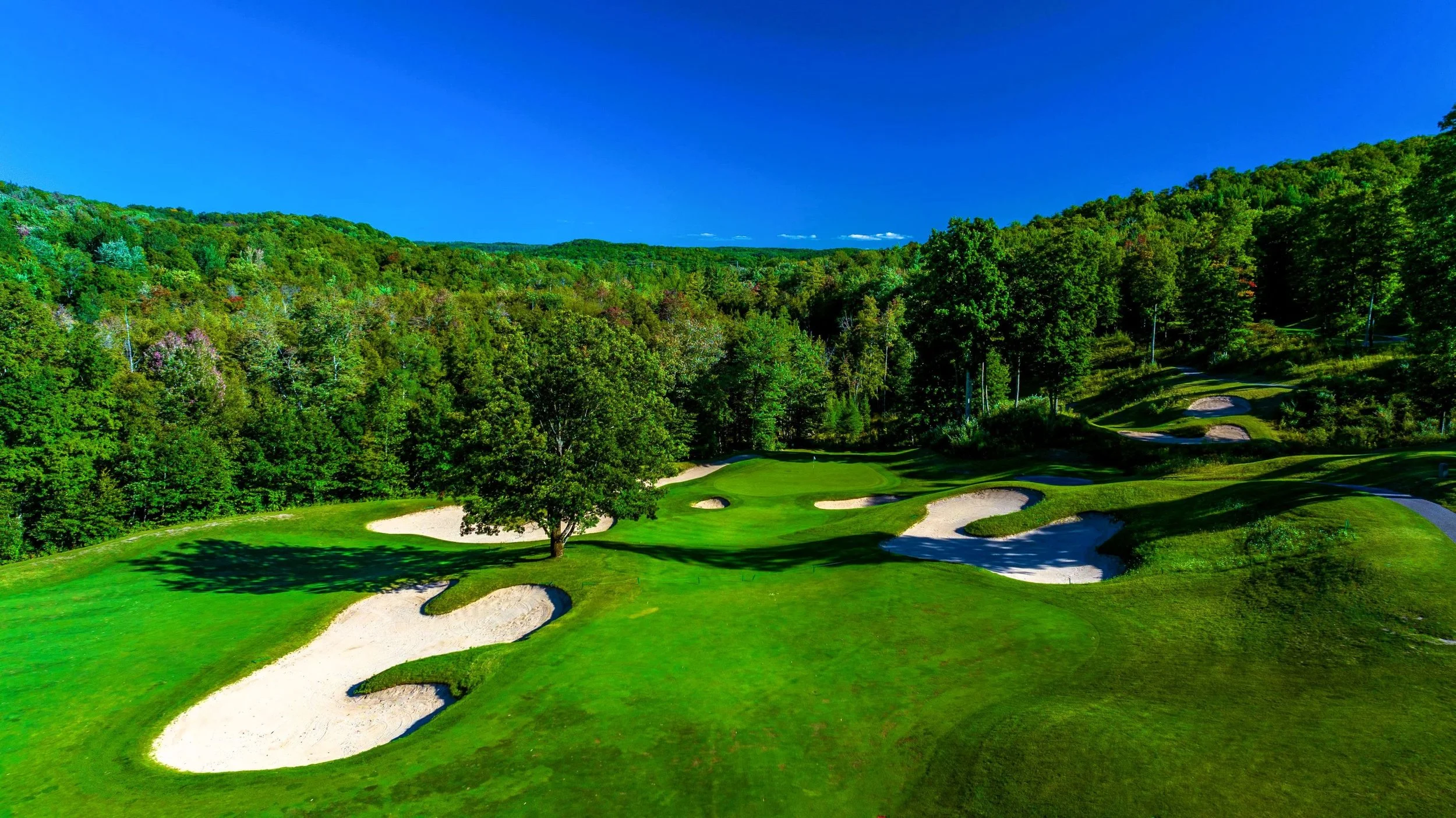 Shanty Creek cedar river 13 rts 3000.jpg