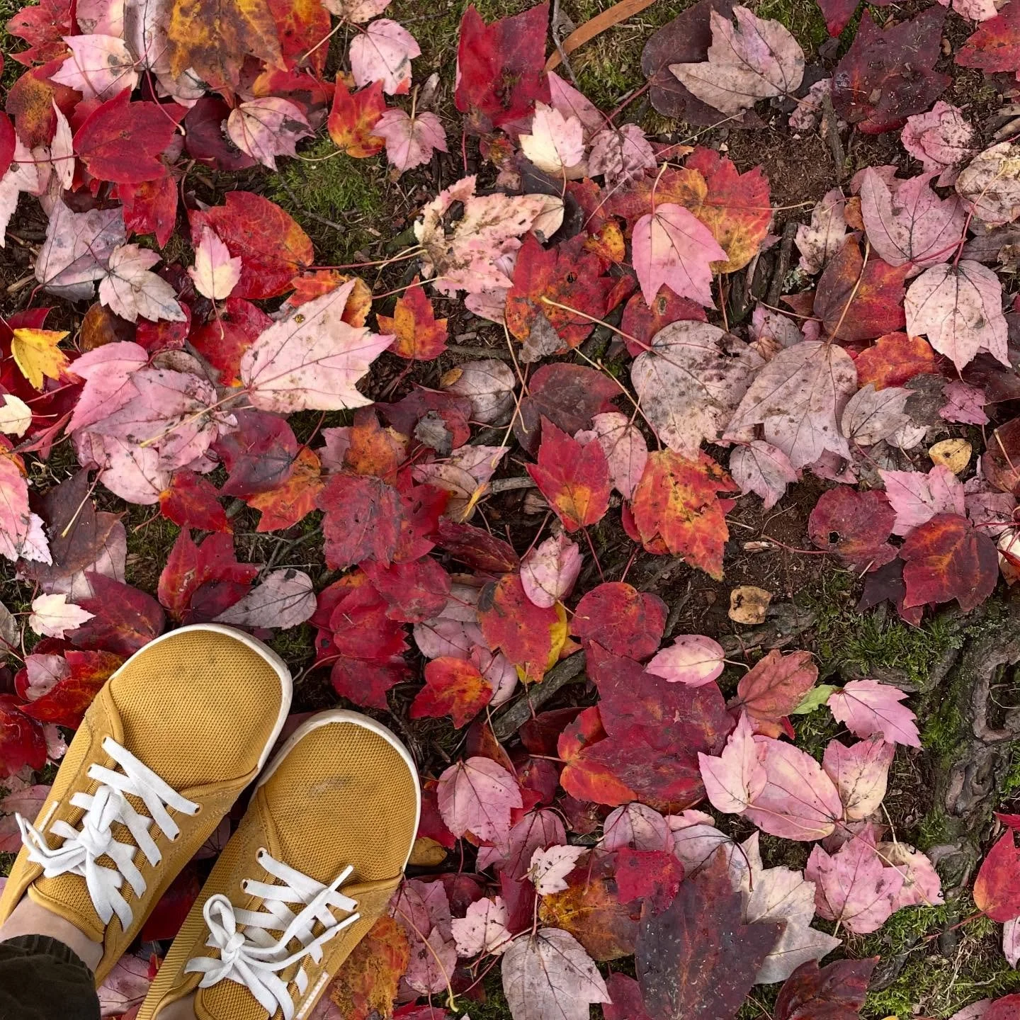 Favorite season, favorite shoes ❤️