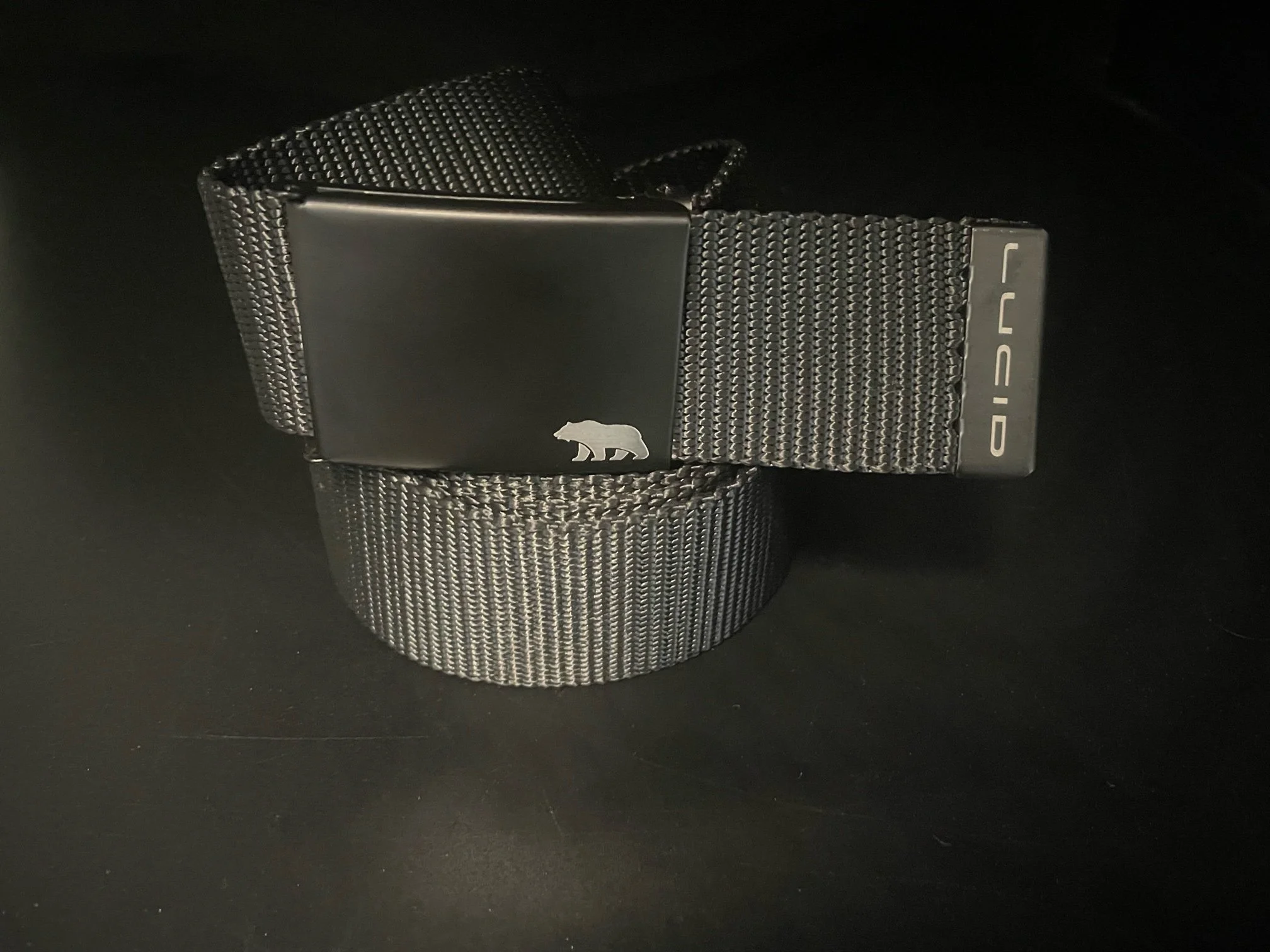Bear on buckle Lucid on tip.jpeg