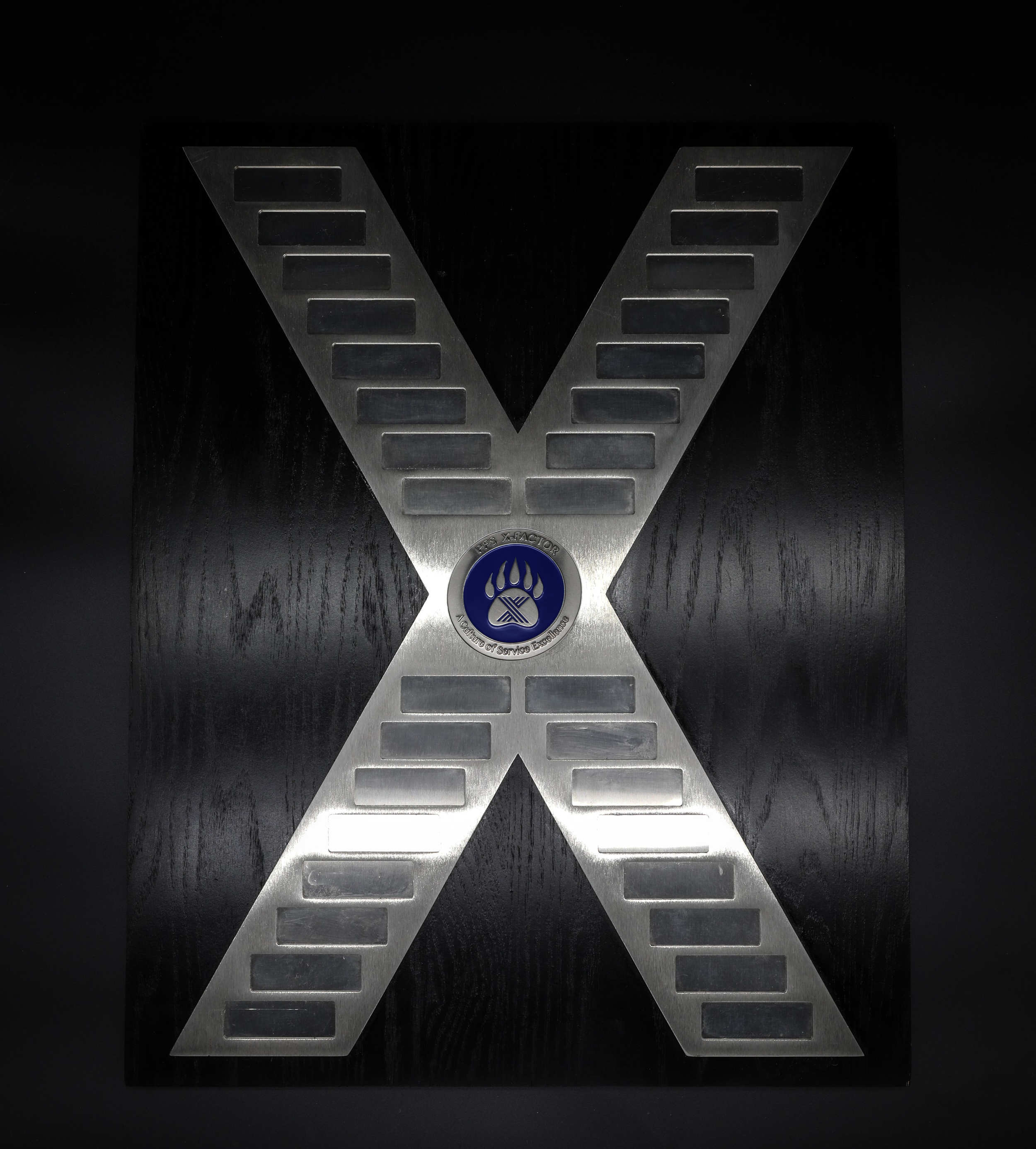 x award SK.png