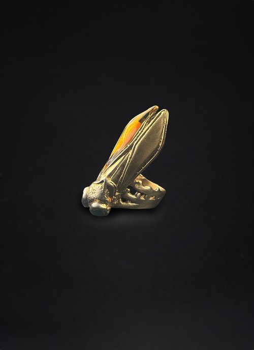 Bug Ring