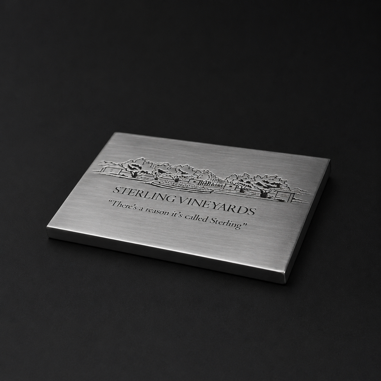 Sleek Paperweight