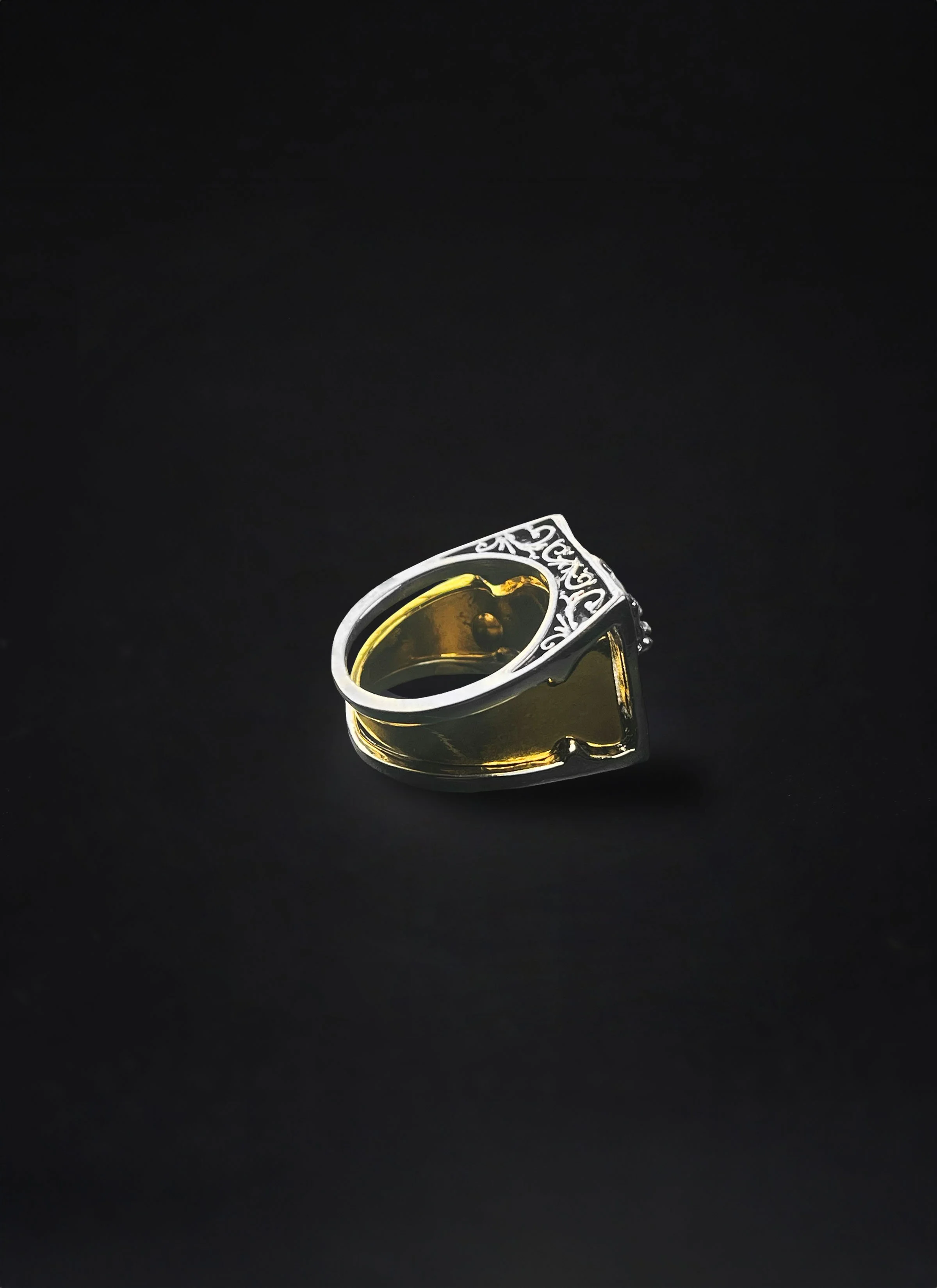 RINGS-Compartment 1.jpg