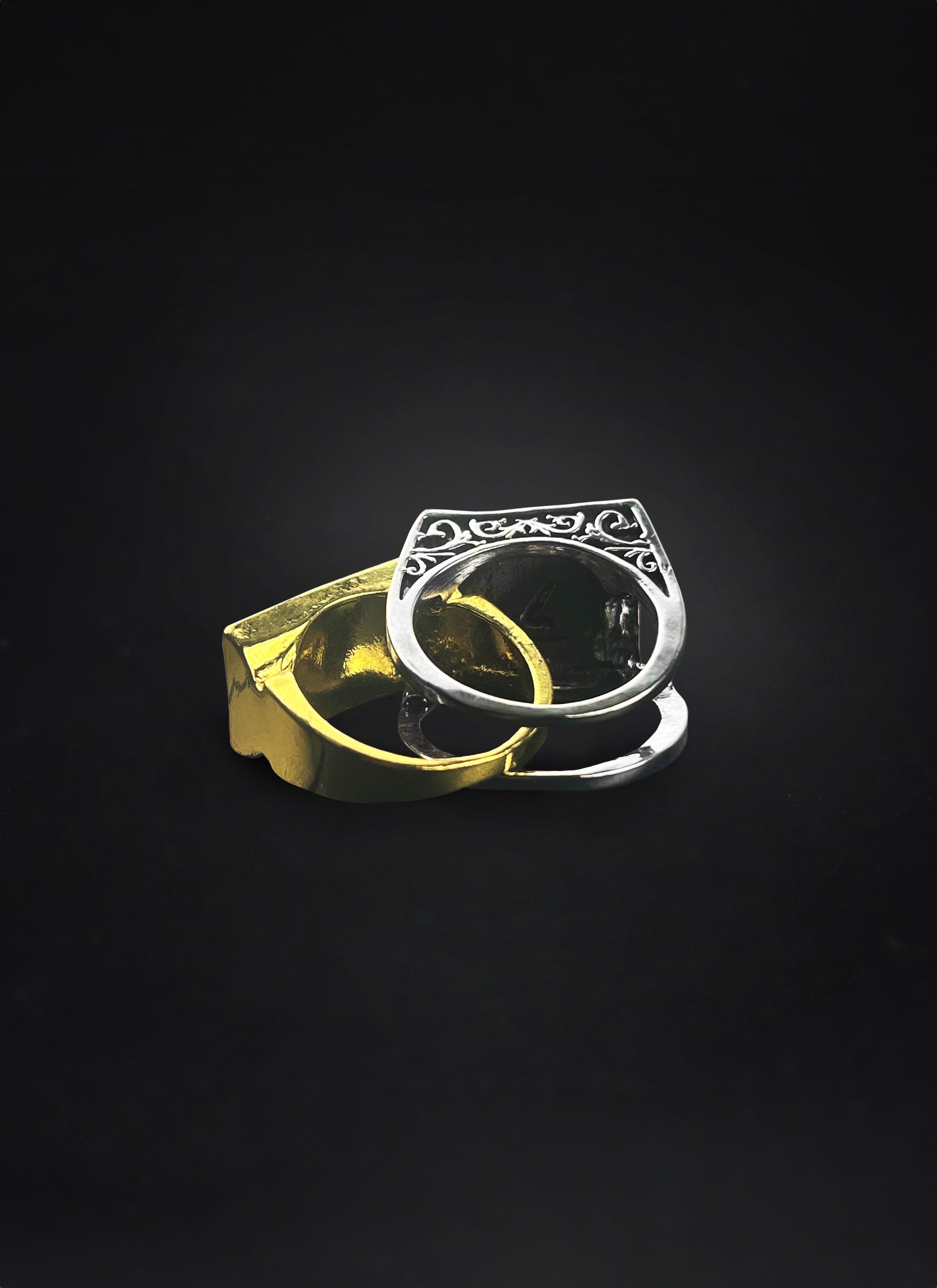 RINGS-Compartment 4.jpg