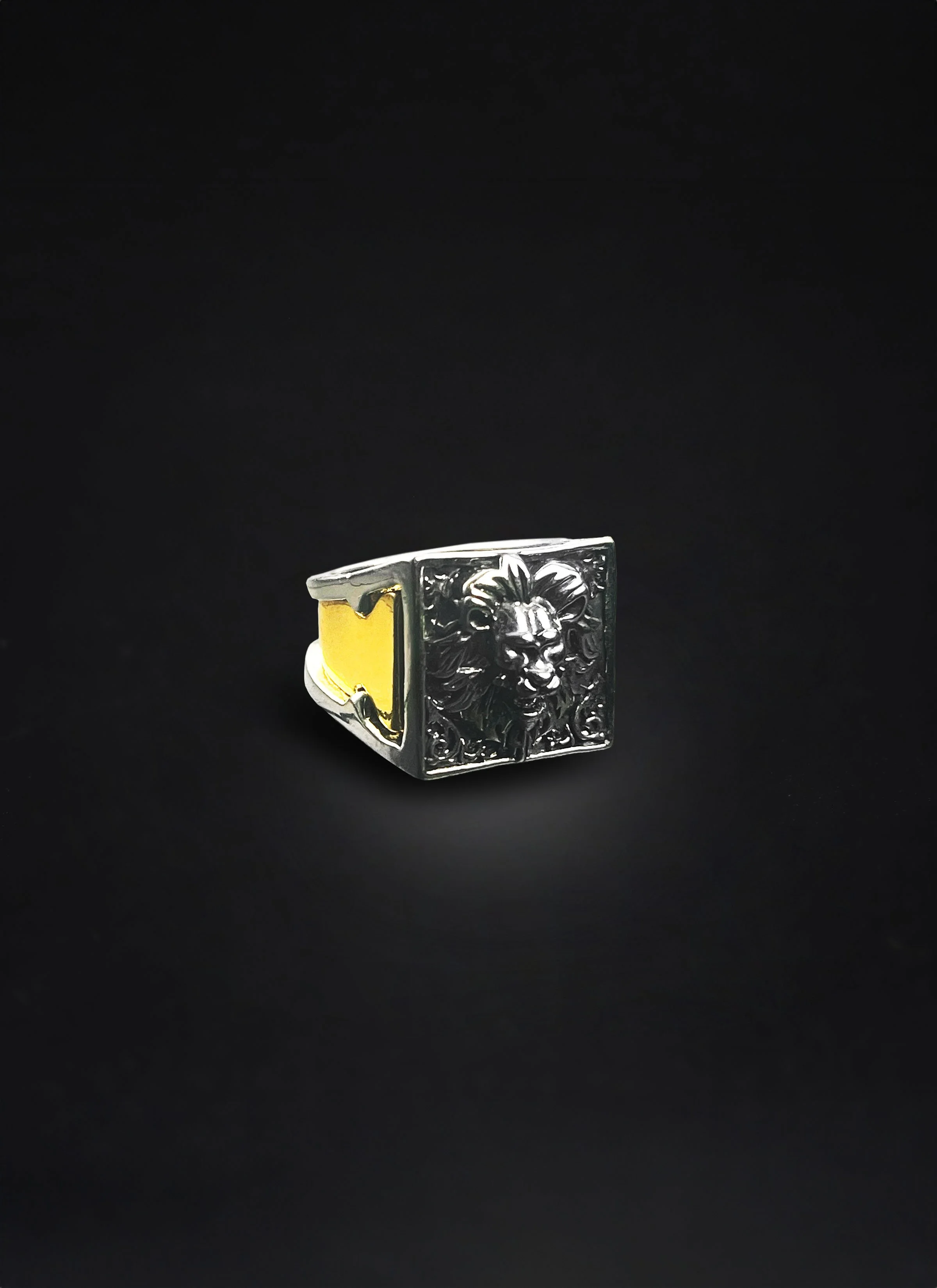 RINGS-Compartment 3.jpg