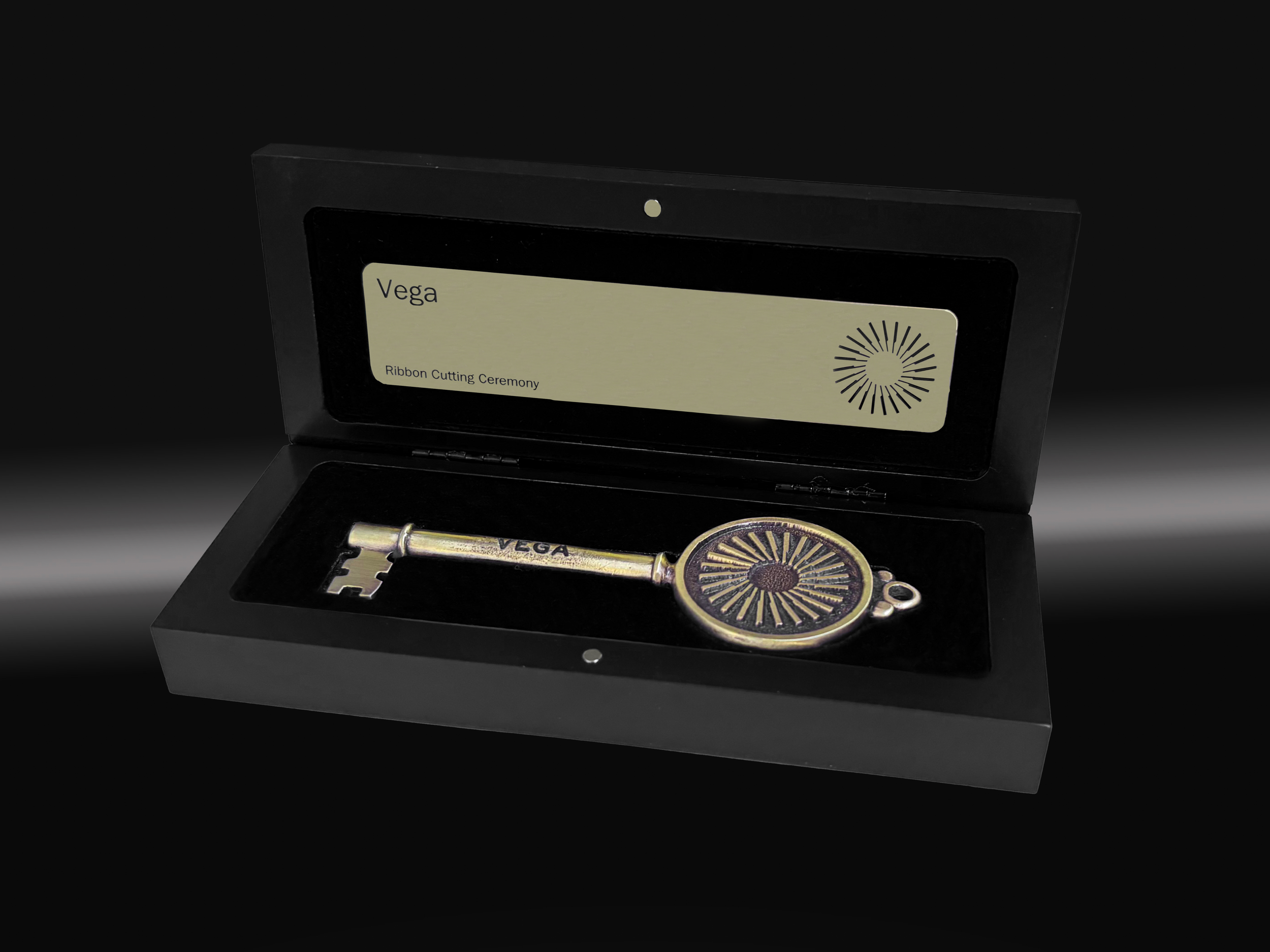 Vega box.png