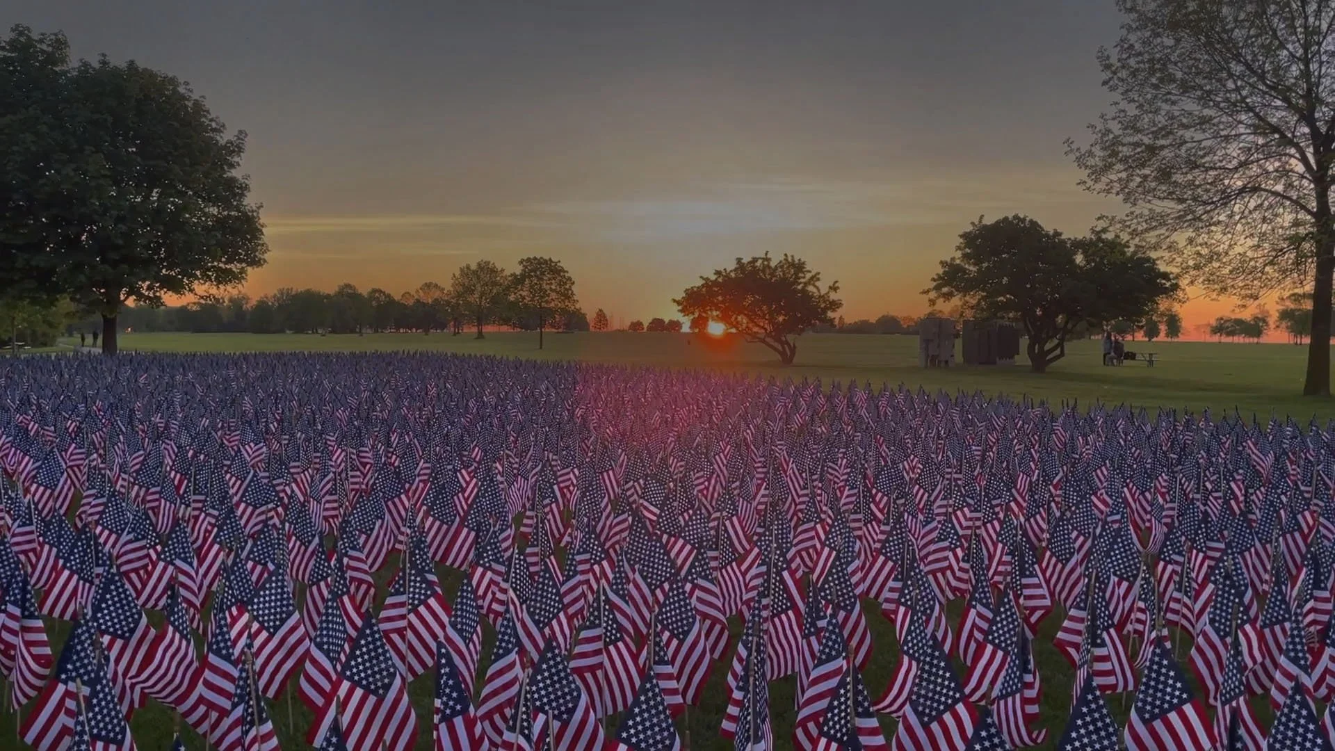 field-of-flags.jpg