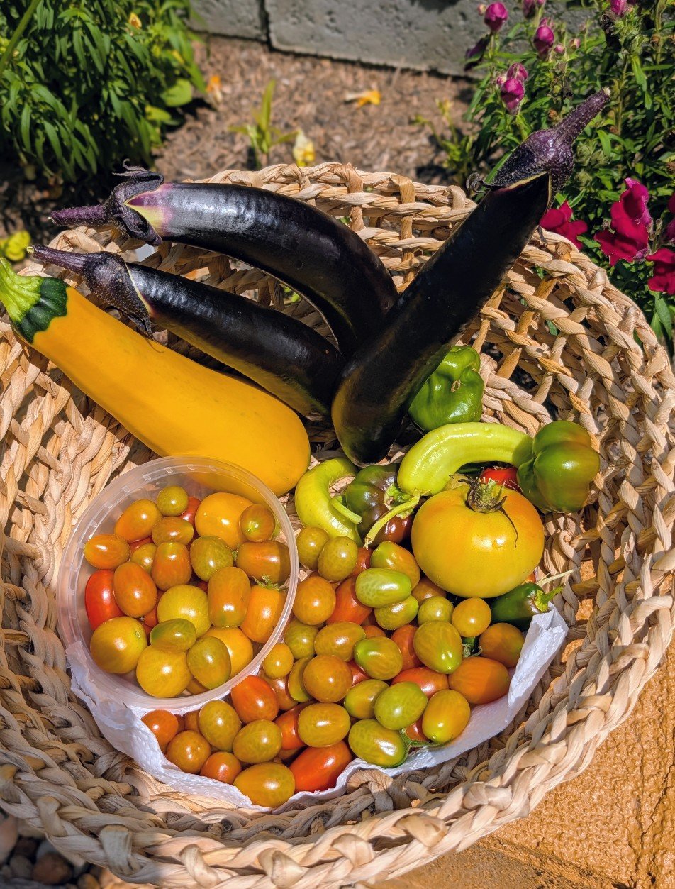 1000018760.png