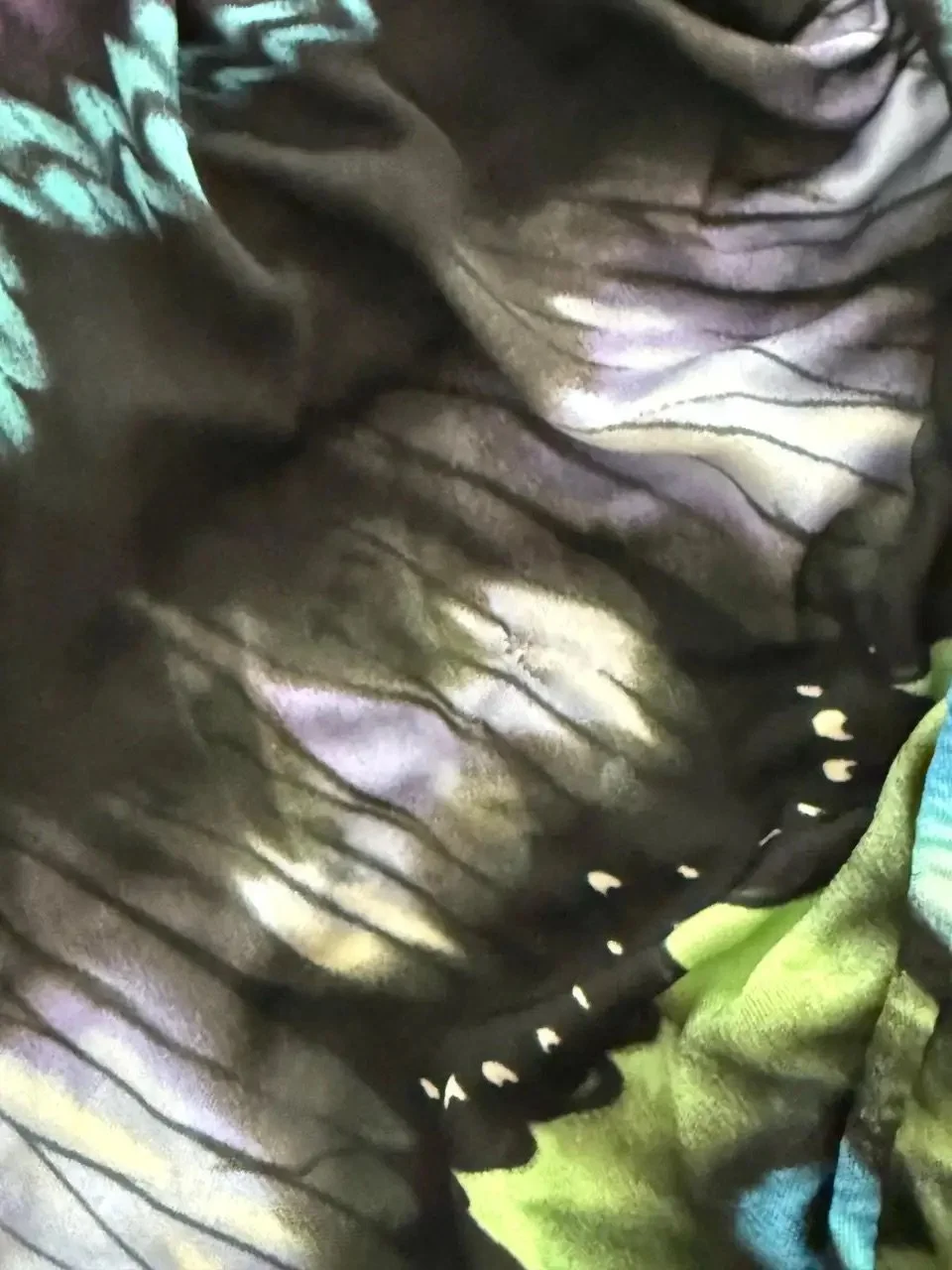 image20.jpeg