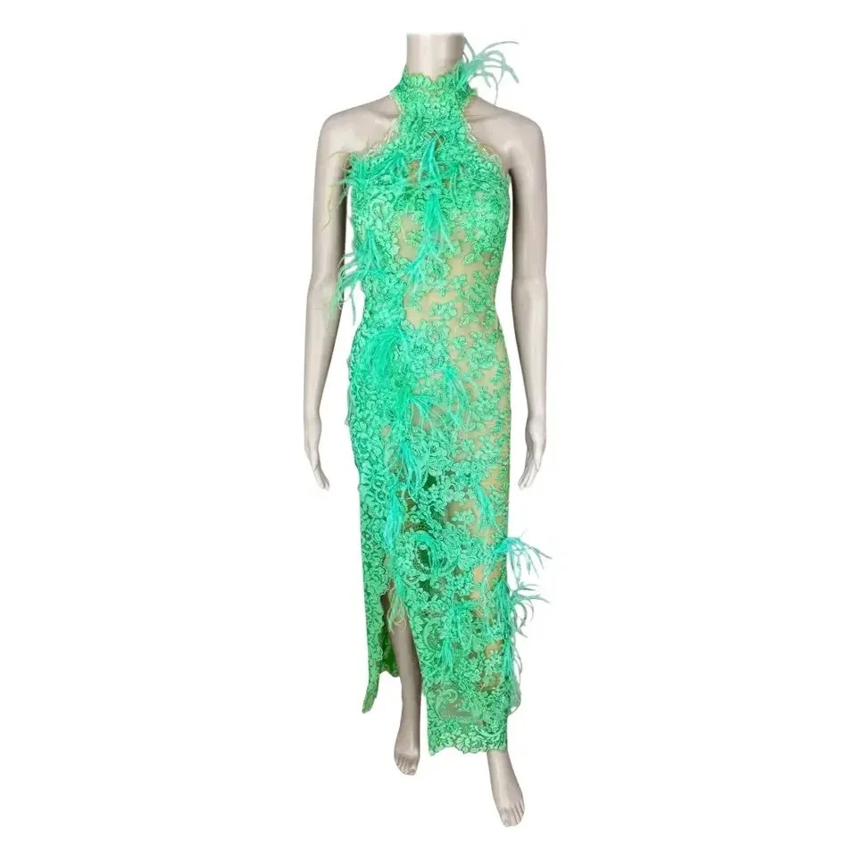 Ermanno Scervino S/S 2022 Ostrich Feathers Sheer Floral Lace Evening Dress