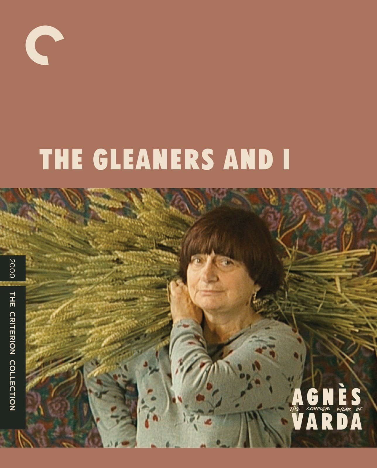SCREENING x DISCO SOUP: THE GLEANERS AND I (2000)