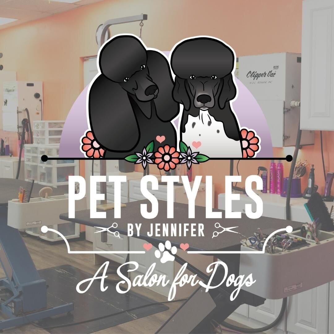 A Salon for Dogs!