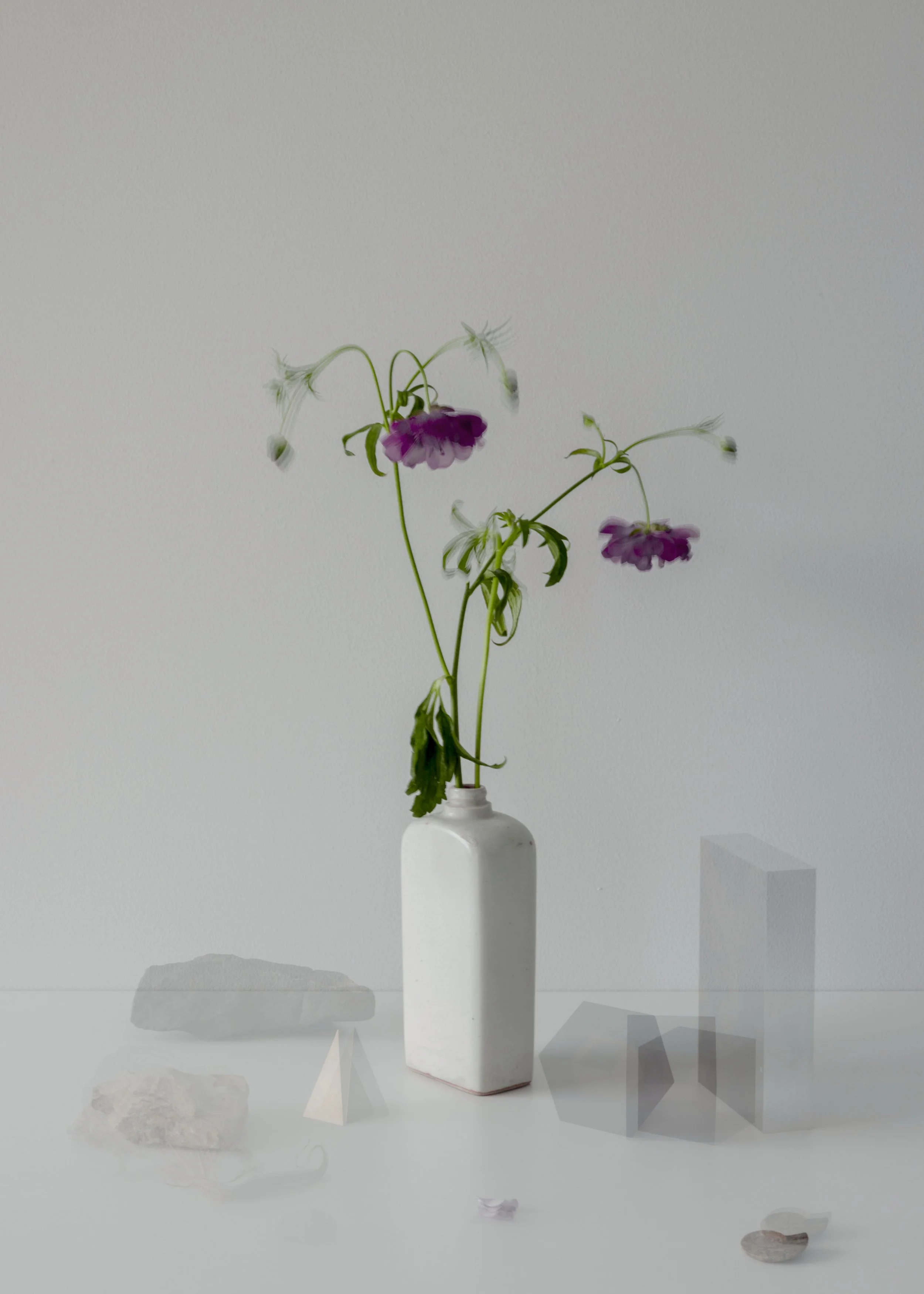 stilllife_yuna01.jpg