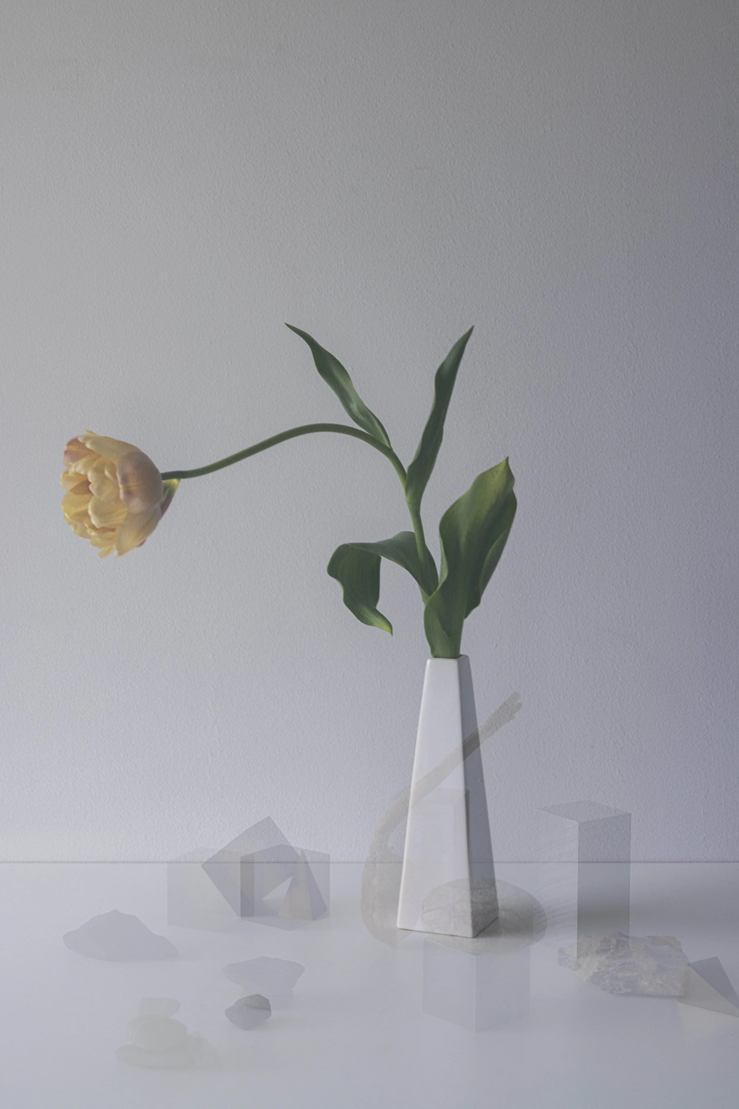 stilllife_yuna02.jpg