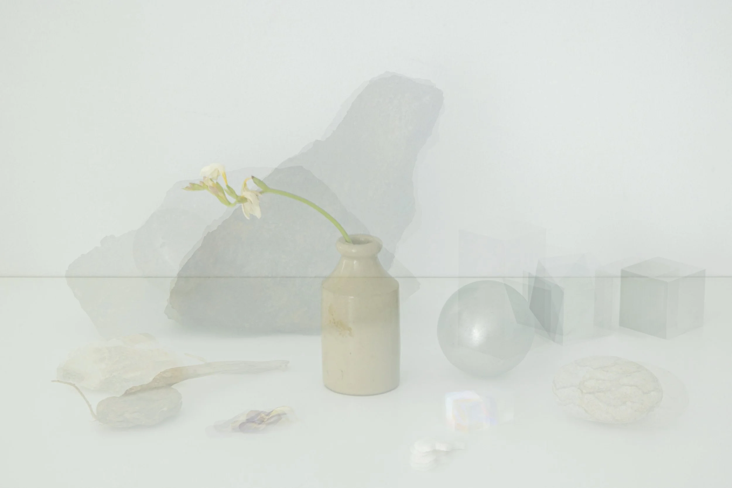 stilllife_yuna03.jpg