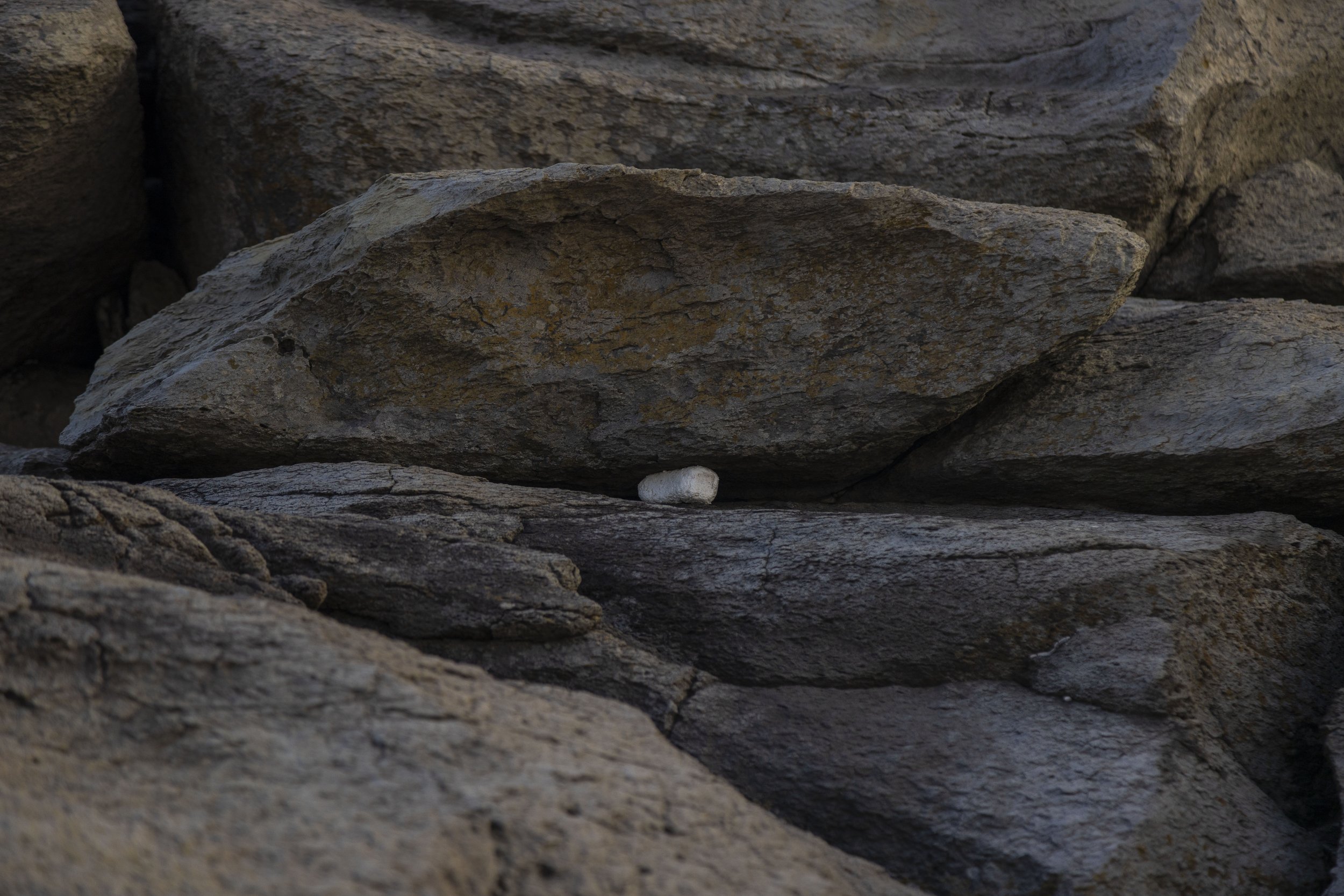   《foam#2》 2024 Archival print on photographic paper 