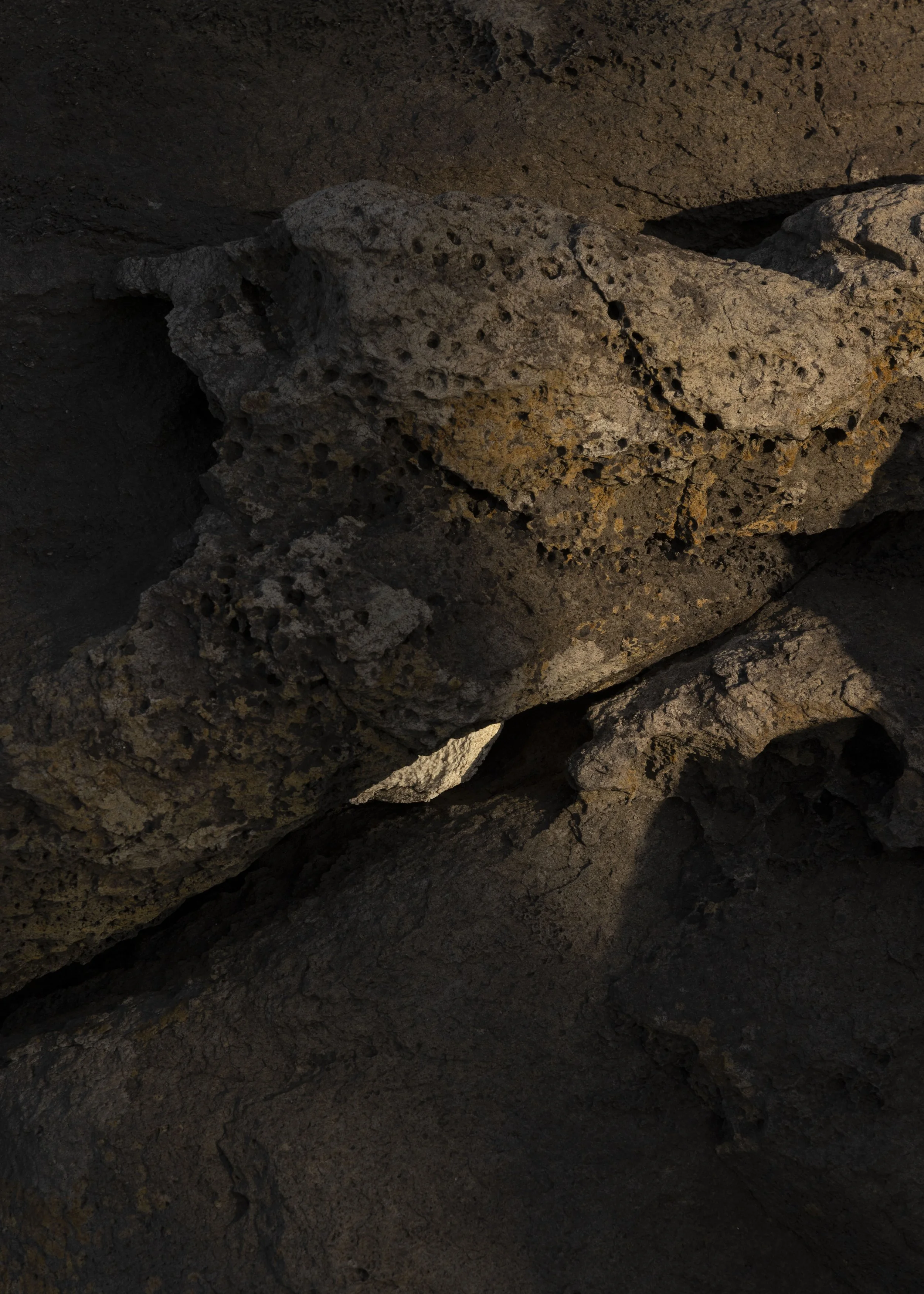   《foam#3》 2024 Archival print on photographic paper 
