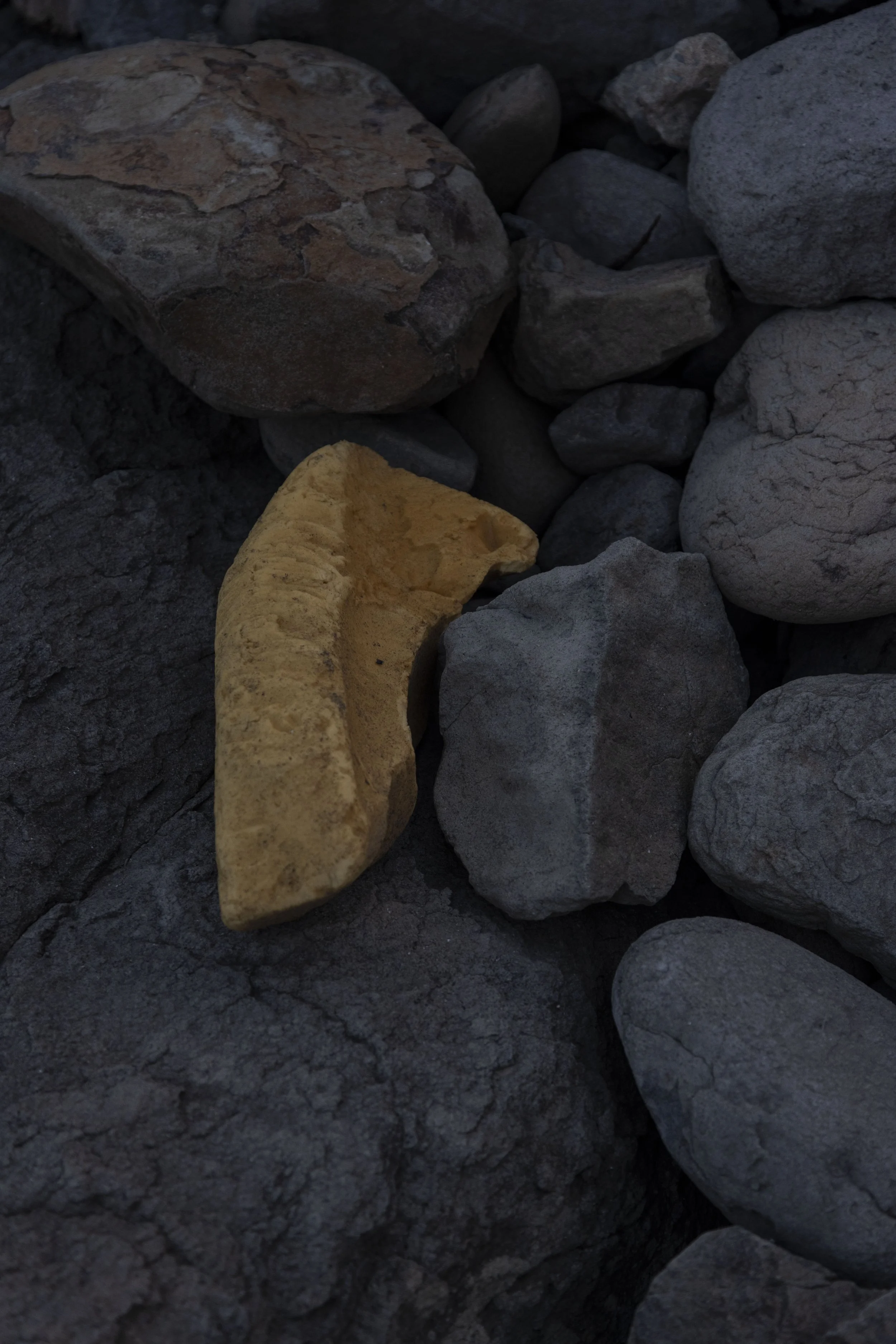   《foam#4》 2024 Archival print on photographic paper 