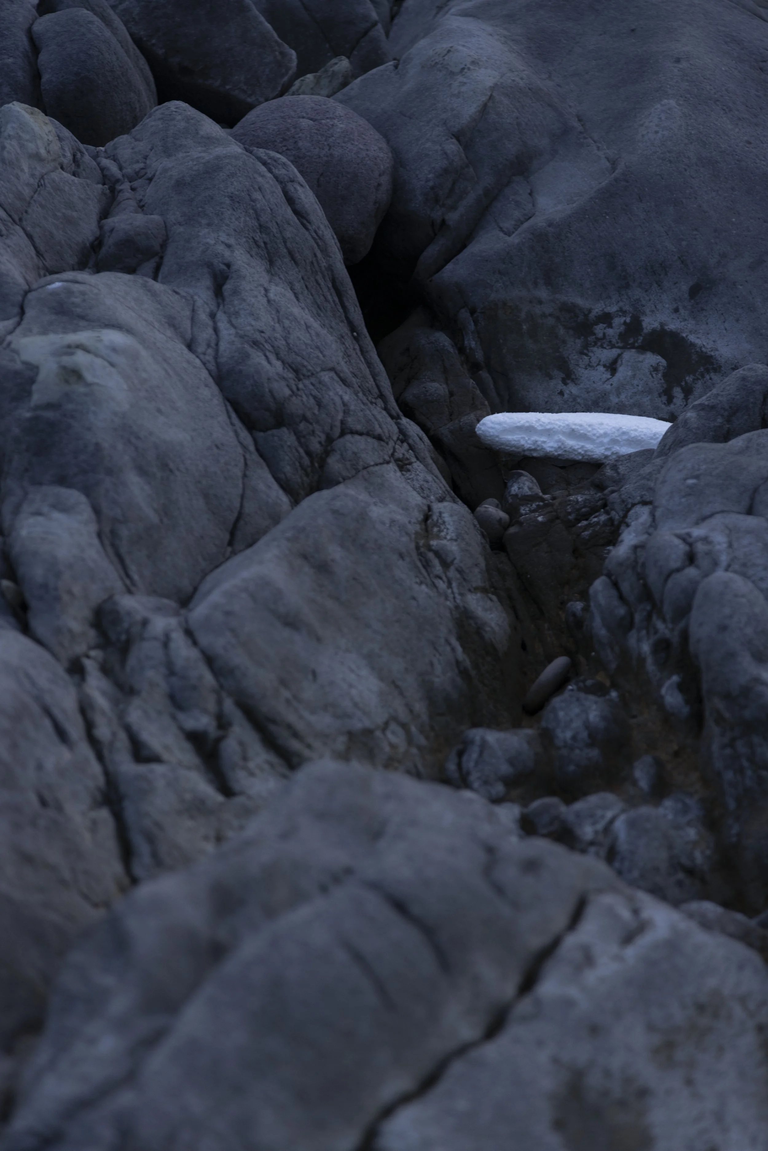   《foam#5》 2024 Archival print on photographic paper 