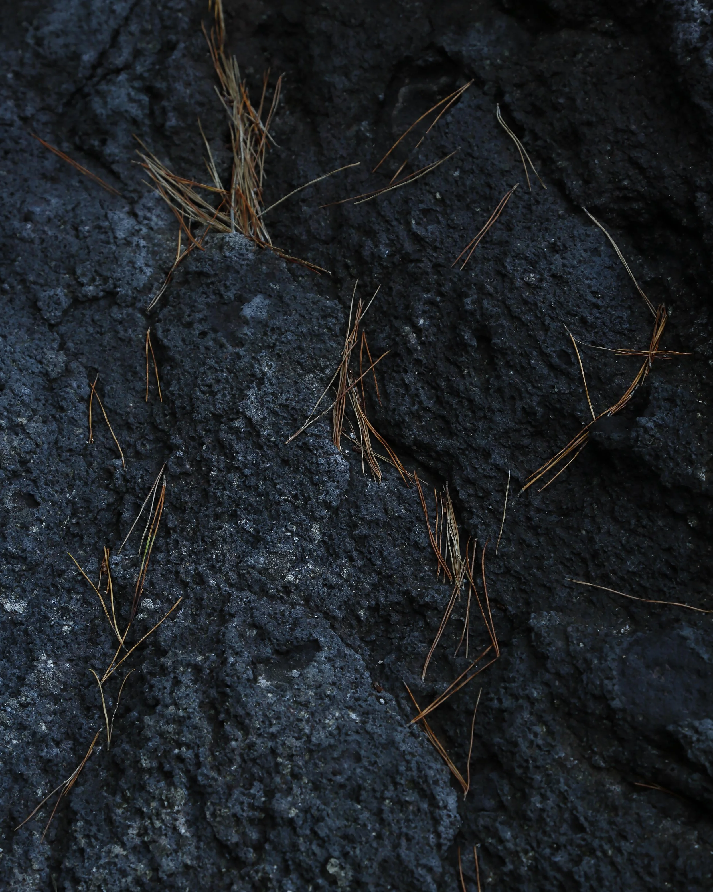 08_Yuna Yagi_EARTHSCAPE#08_©Yuna Yagi=EARTHSCAPE.jpg