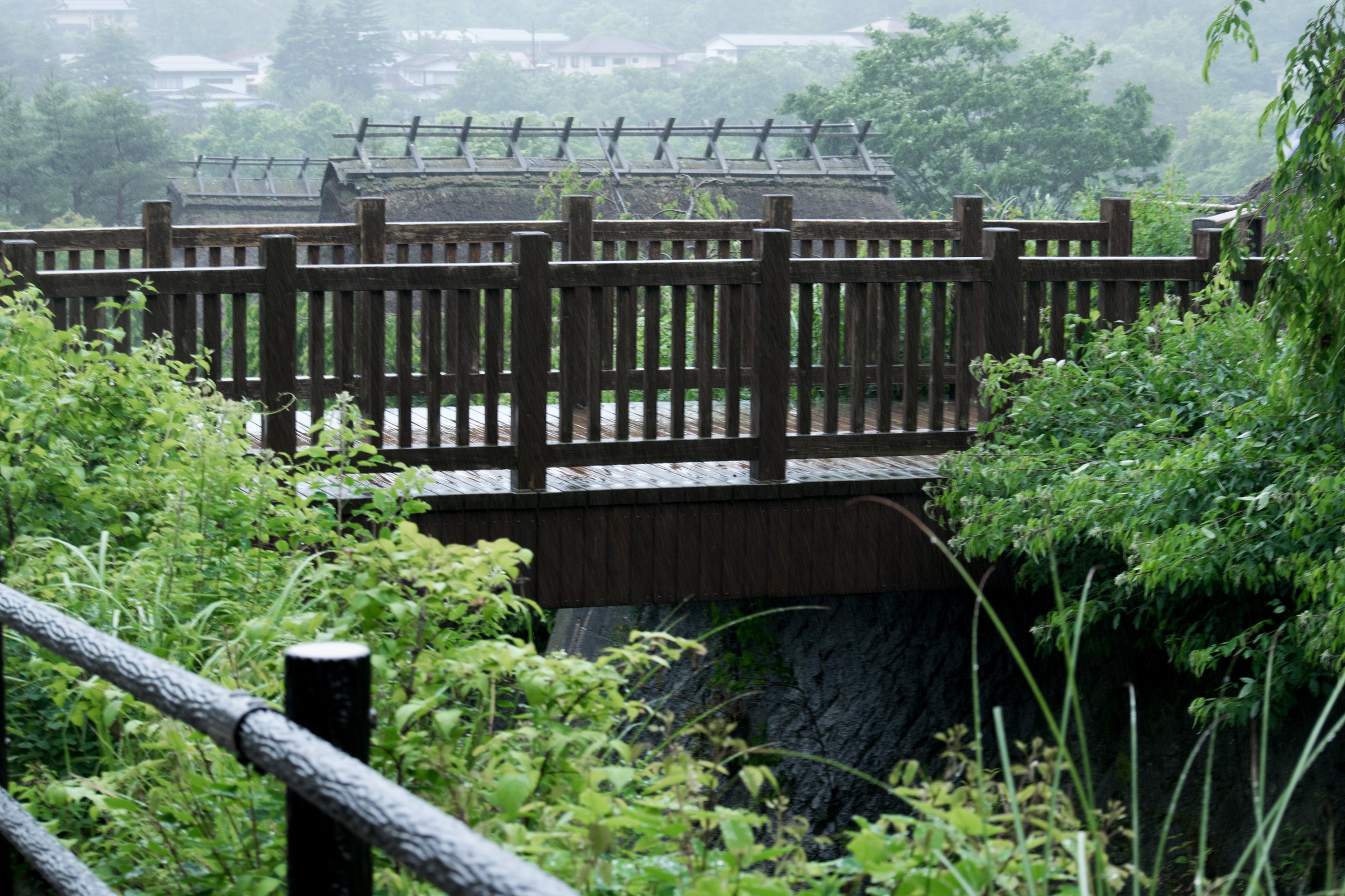 2017.06.21 cultural exhibit outside of tokyo, japan 1.JPG