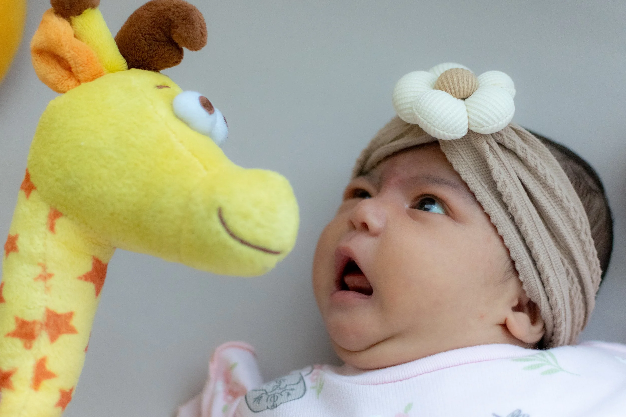 2026.05.17 miss baby 1.jpg