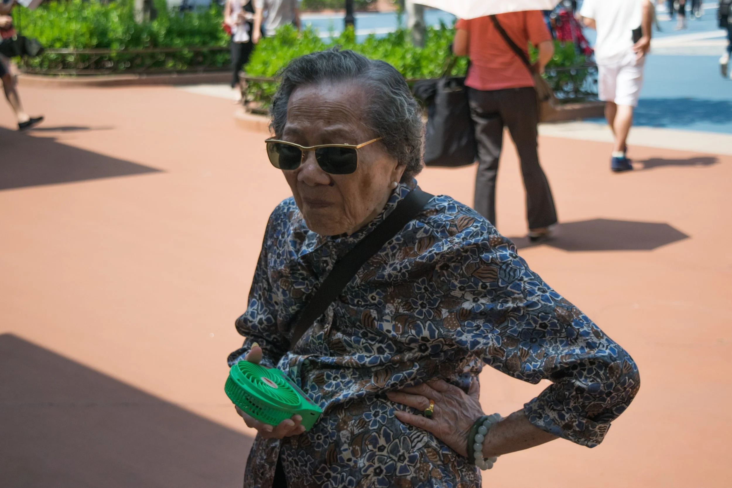 2017.06.22 94yo in disneysea tokyo, japan.JPG