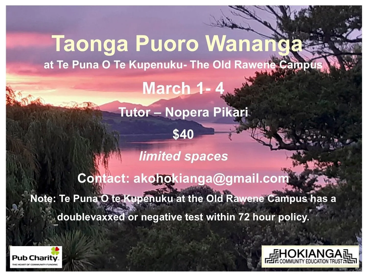Taonga Puoro Wananga