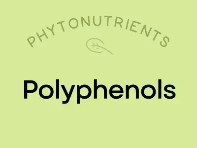 Polyphenols-400x300.webp