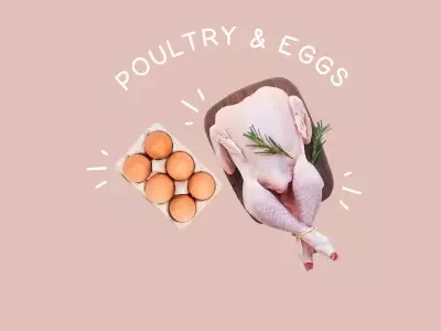 Food-Families-Poultry-and-Eggs-400x300.webp