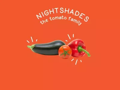 Food-Families-Nightshades-400x300.webp