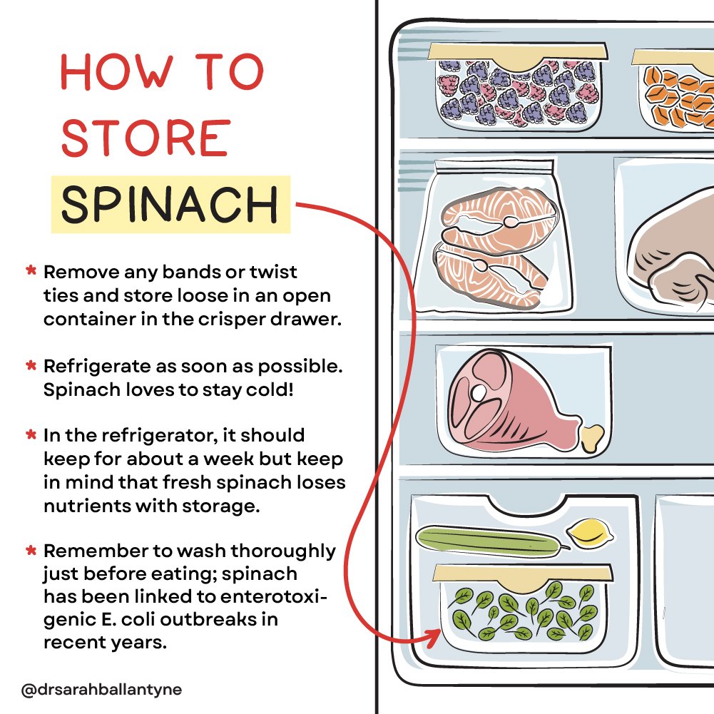 How-to-store-Spinach.jpg