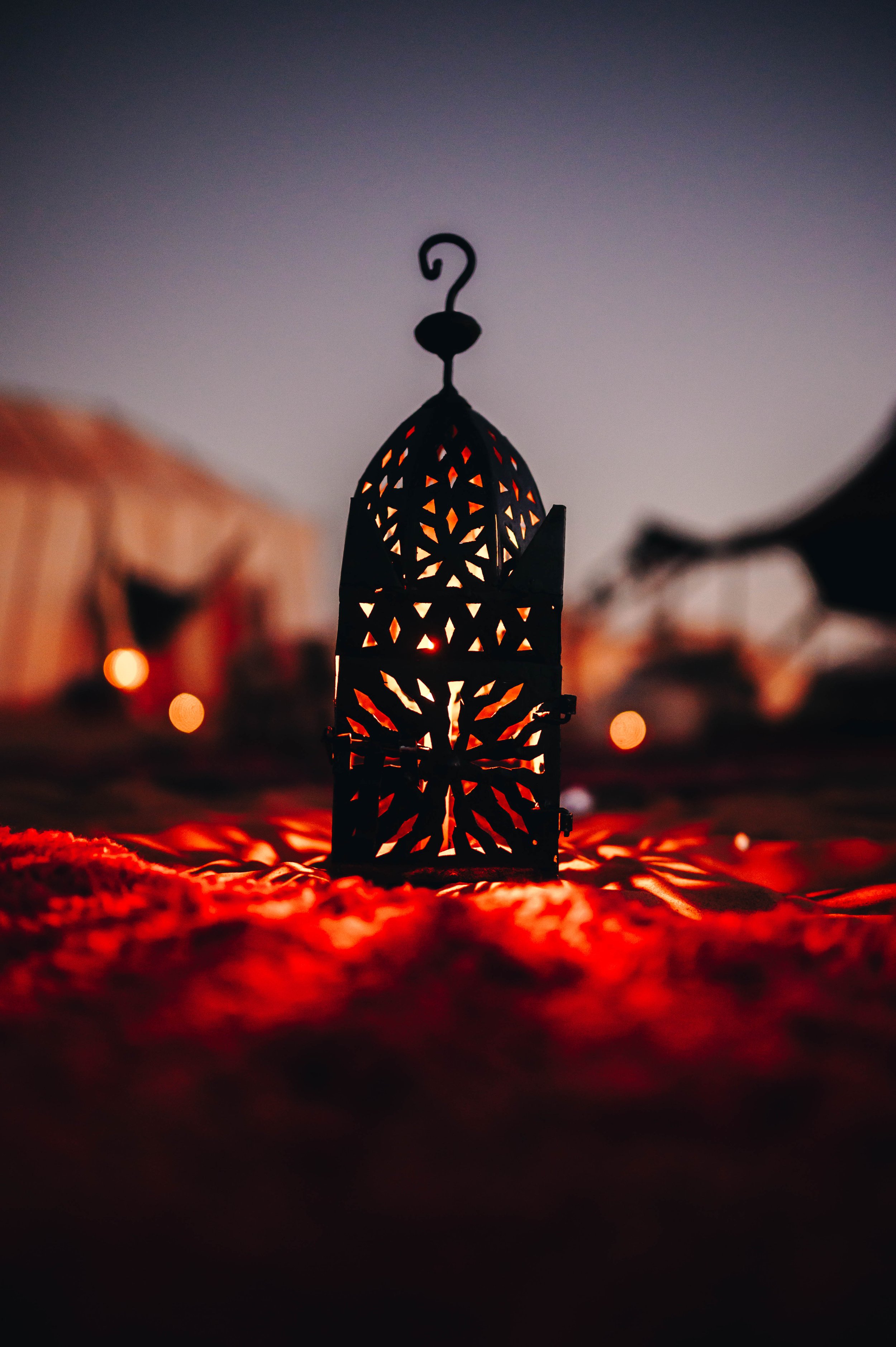 ALI_1308.jpg