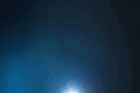 Comps-1.gif