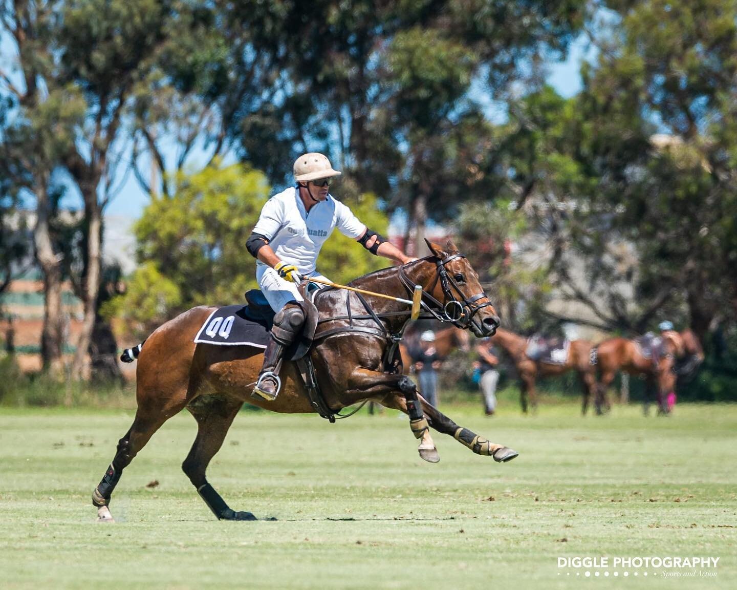 LUCY 🚀🚀 2021 Melbourne Cup Final 📸 @diggle_photography_polo
