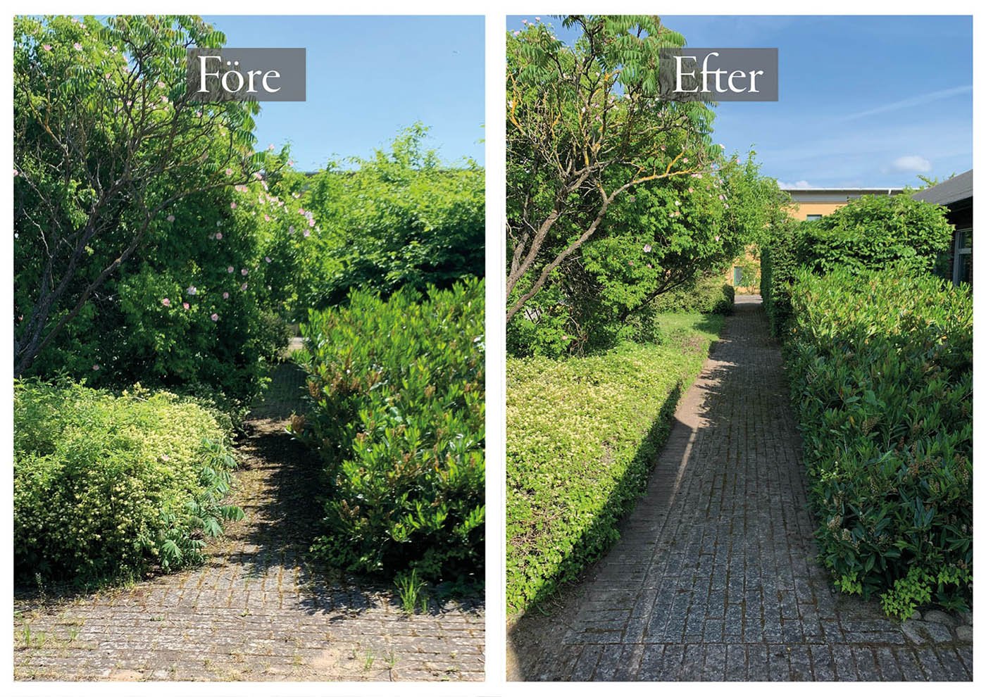 foretagsskotsel_fore_efter_1.jpg