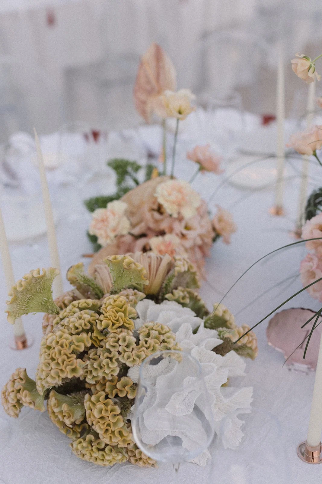 Alanna&StevenWedding-7144.jpg