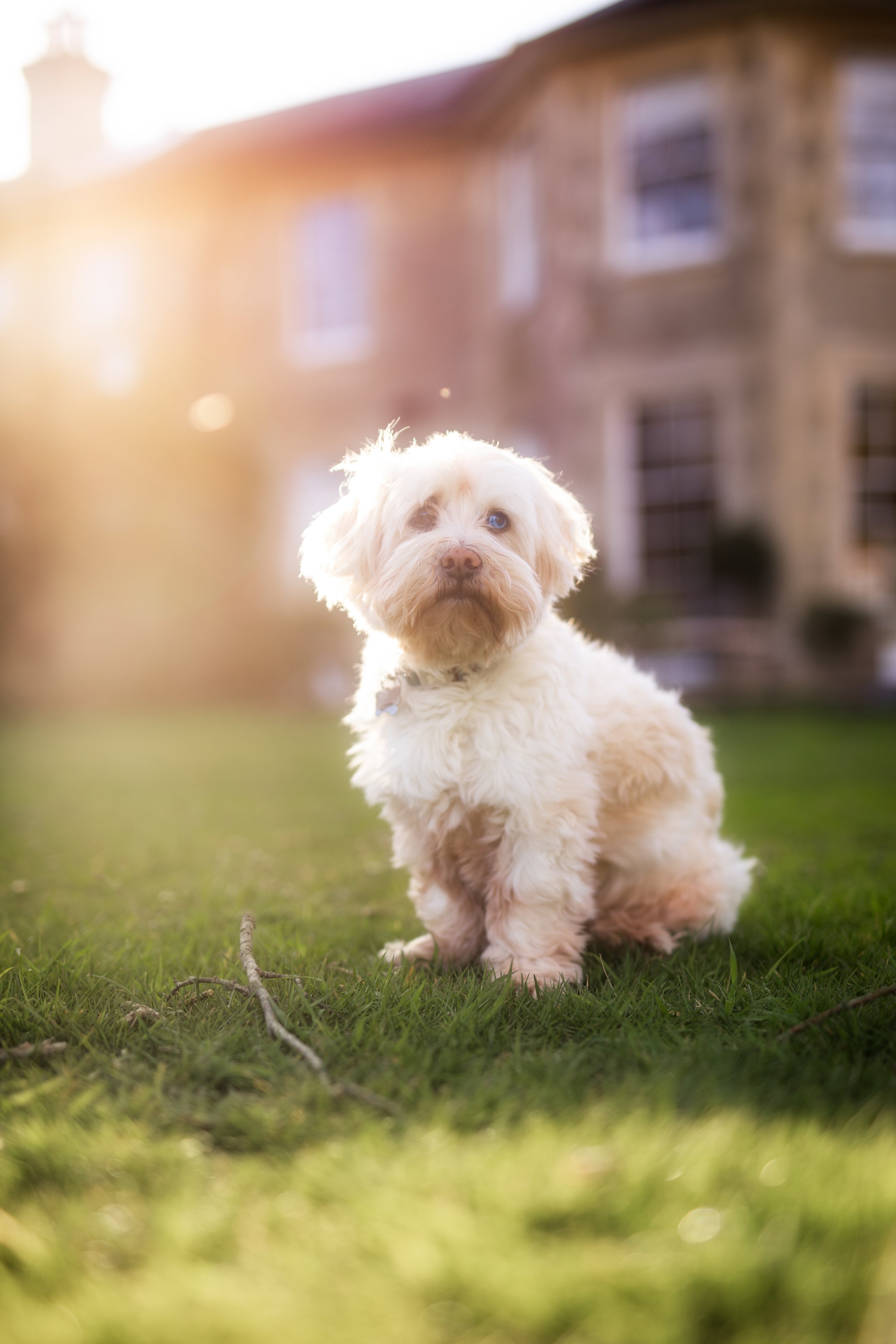 0O3A8659-Edit.jpg
