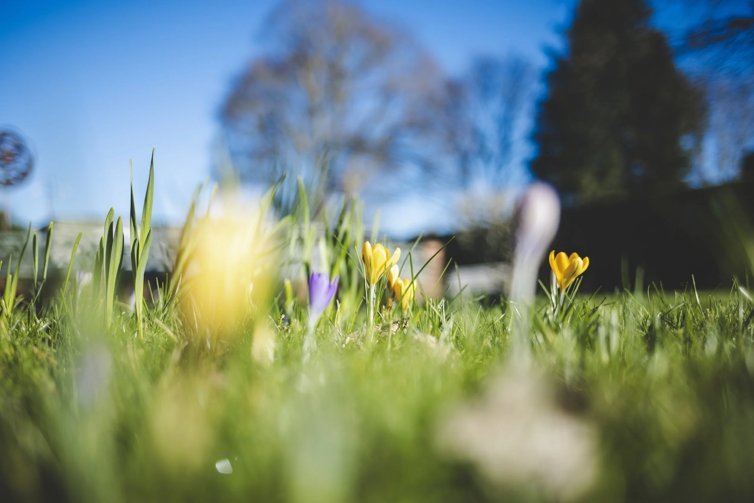 KJR- Grandad 06.02.25-51.jpg