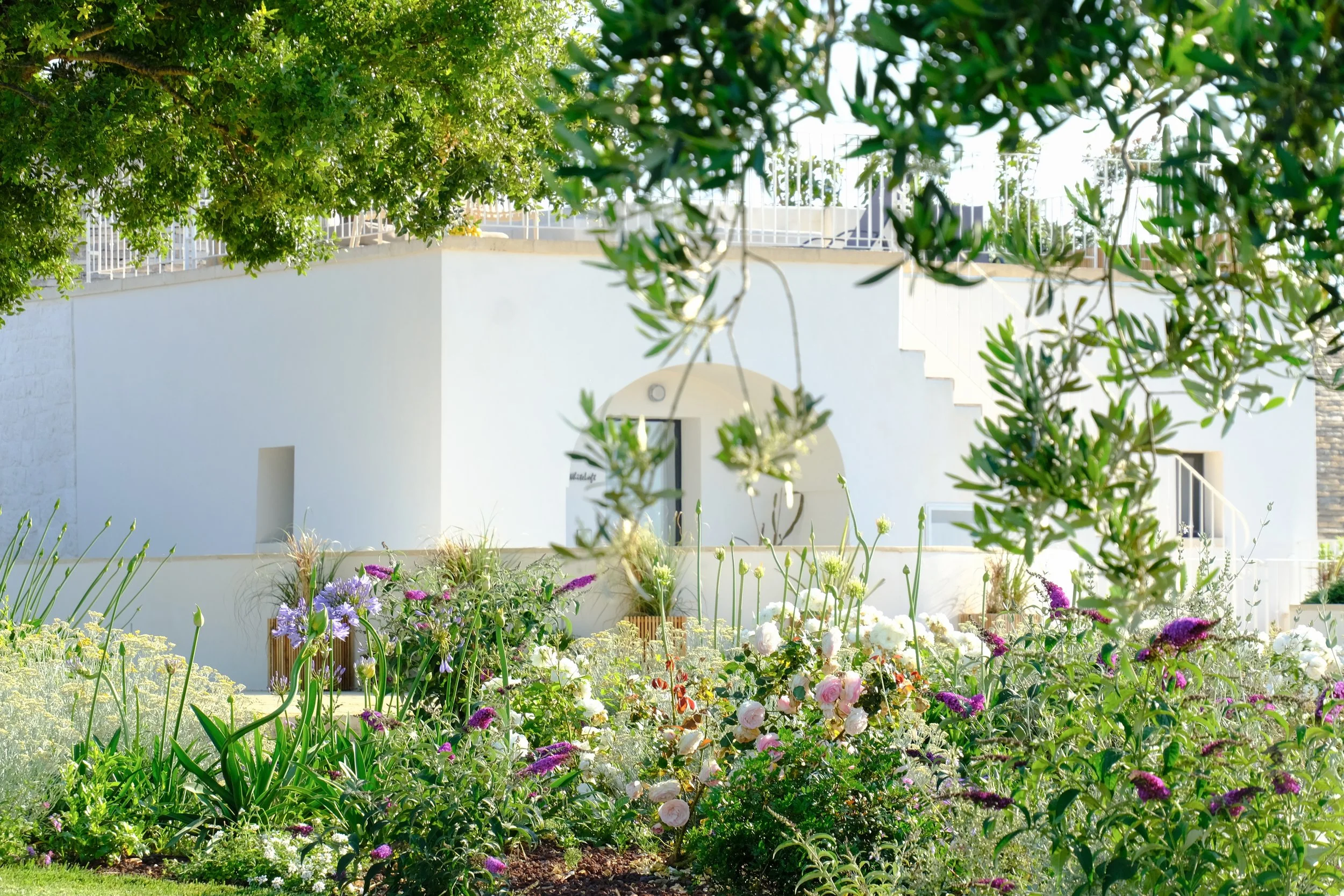 Favourites - 2 of 2.jpeg