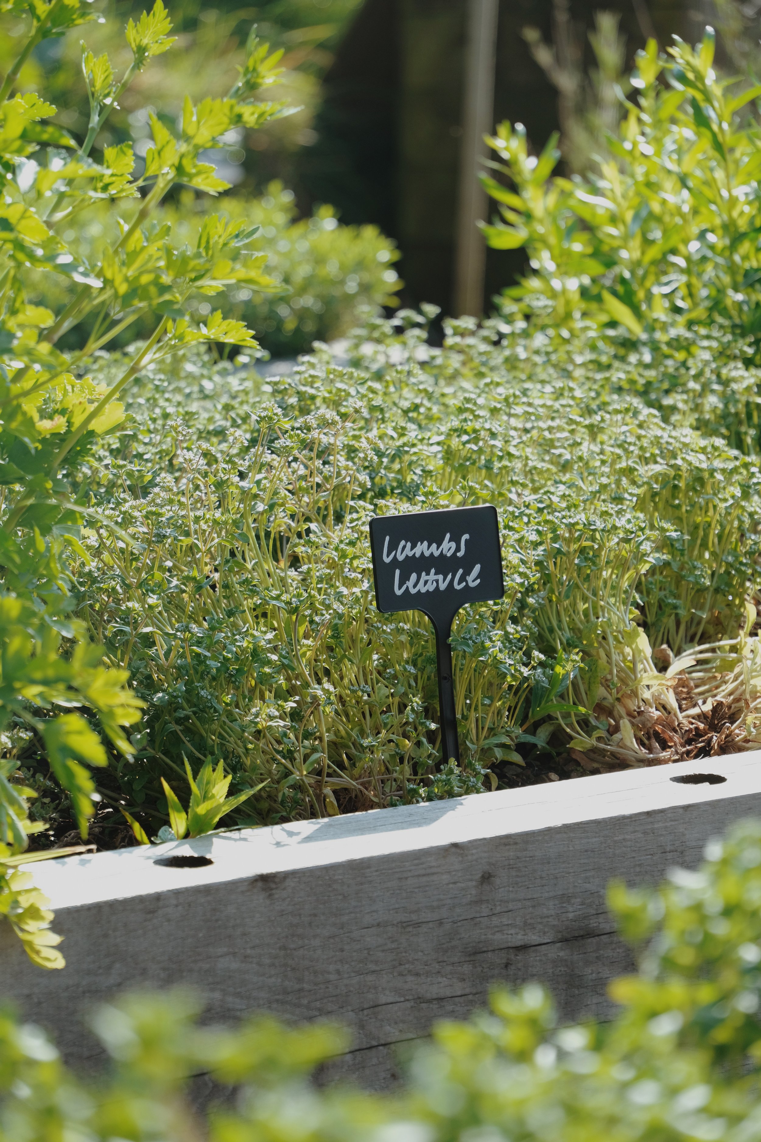 Fowlescombe - 257 of 618.jpeg