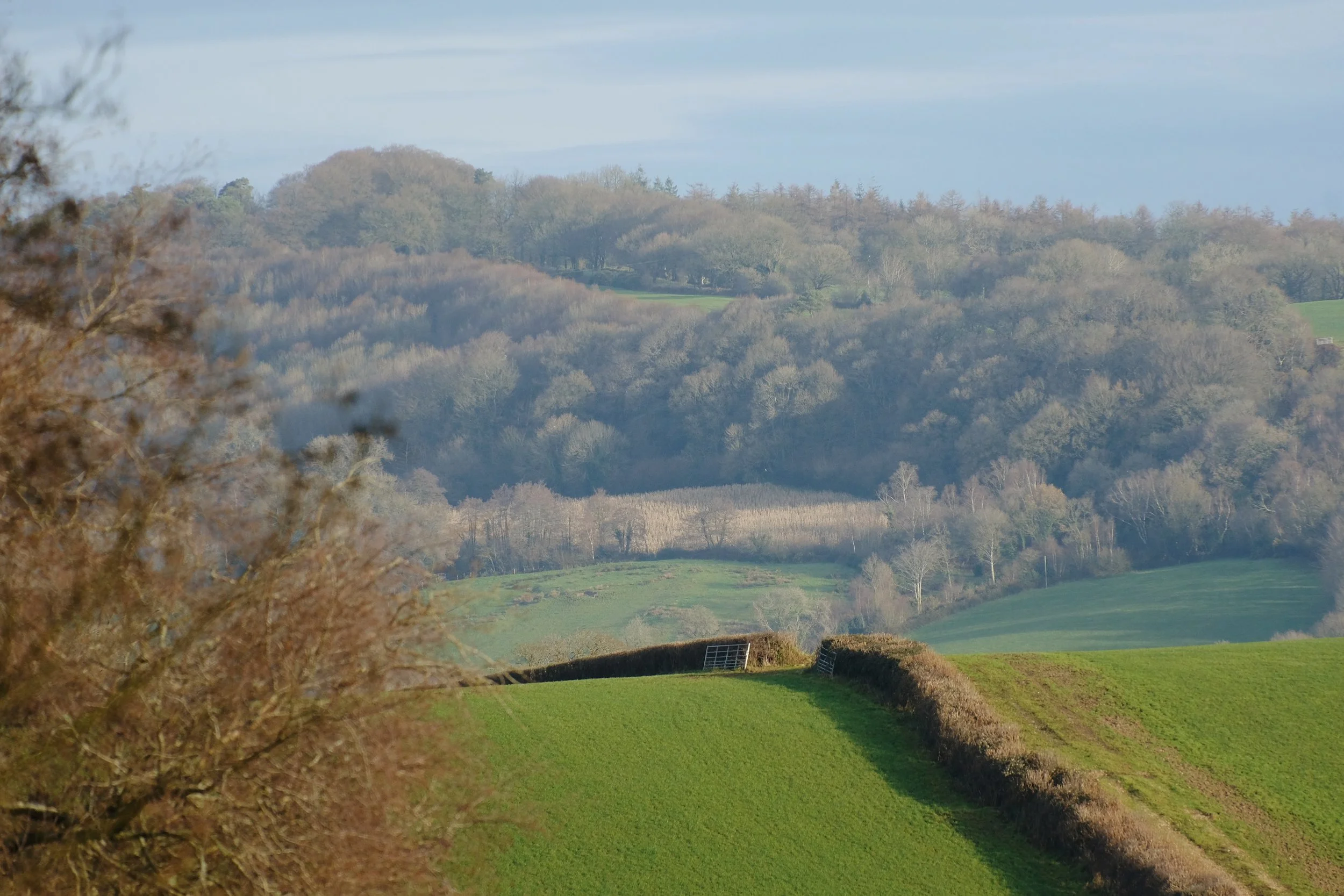 Glebe House Dec 25 - 97 of 534.jpeg