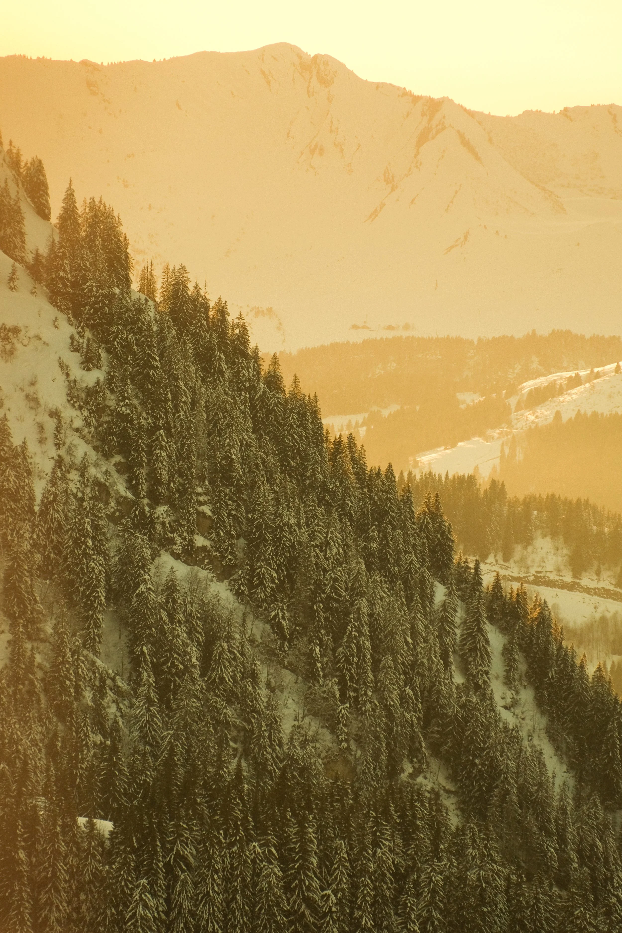 All Photos - 1 of 1 (4).jpeg